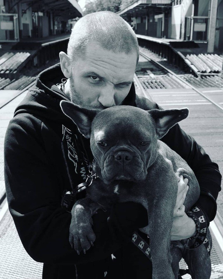 I'm not obsessed with dogs, I just love them very much. Tom Hardy - Tom Hardy, Dog, Love, Longpost, Actors and actresses, Celebrities