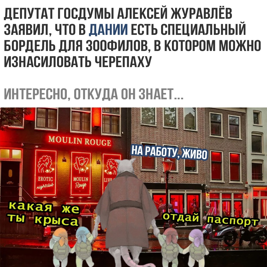 Бордели с животными