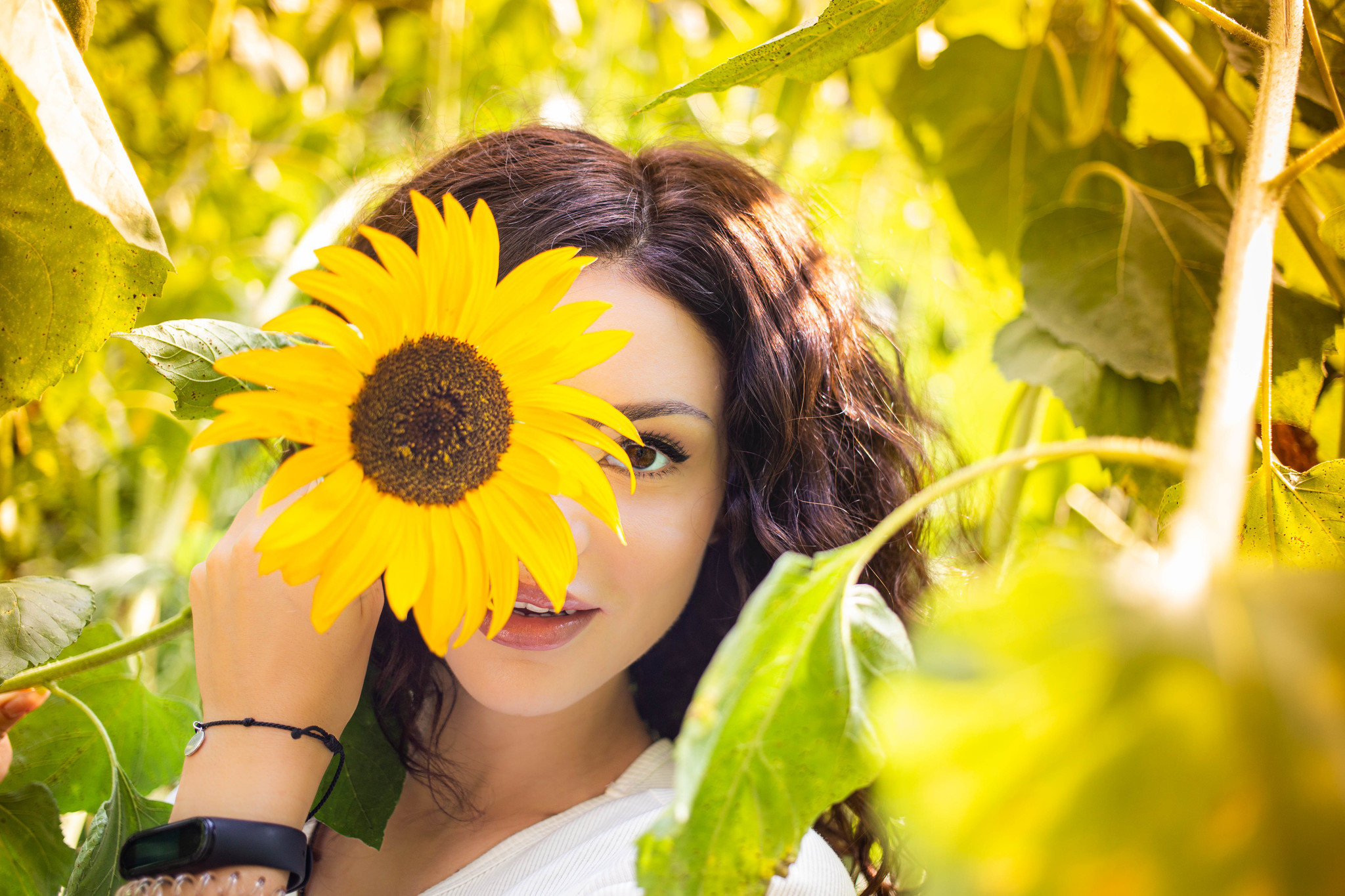 Last summer day - My, The photo, Photographer, Summer, Sunflower, Longpost