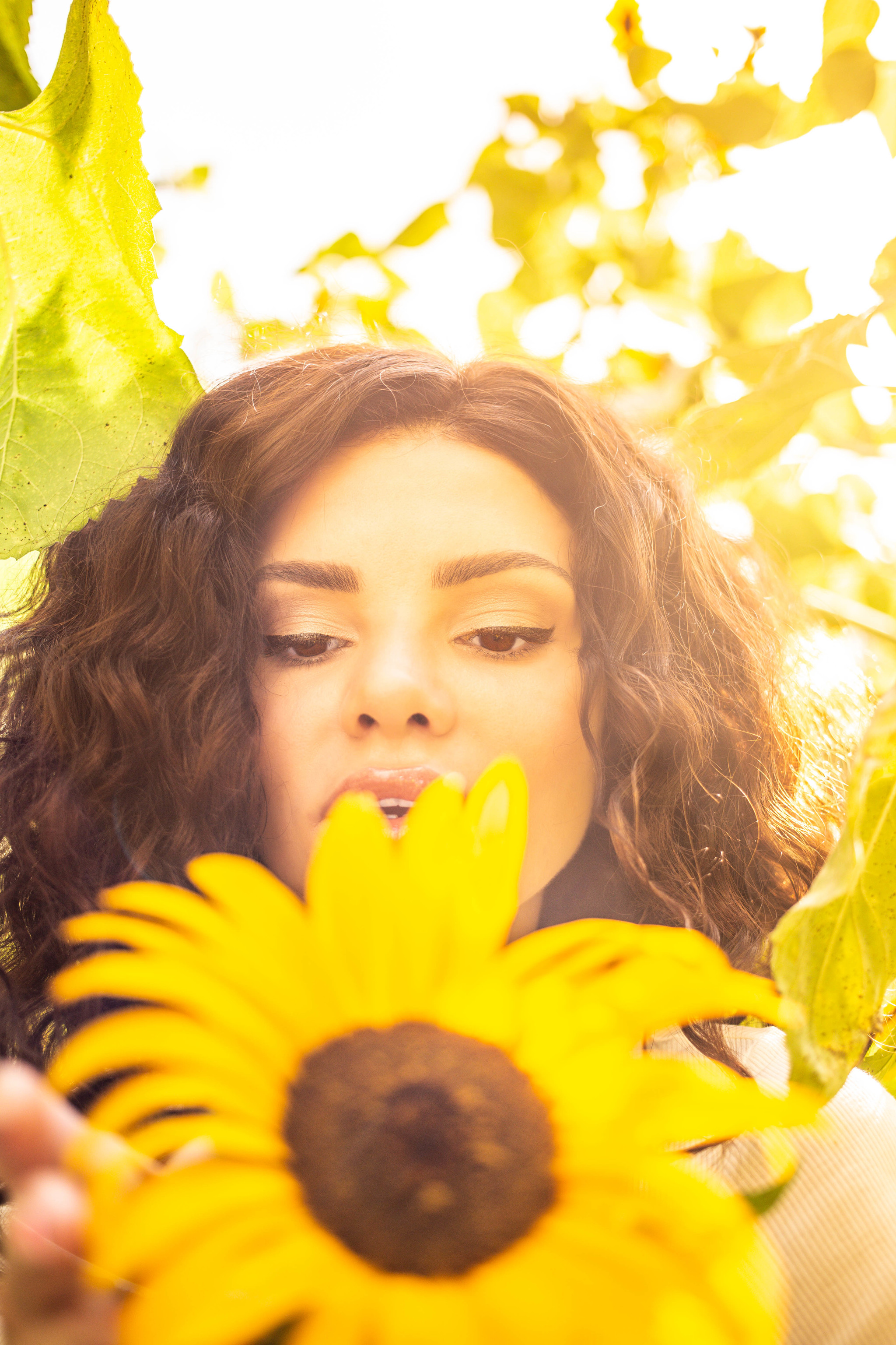 Last summer day - My, The photo, Photographer, Summer, Sunflower, Longpost