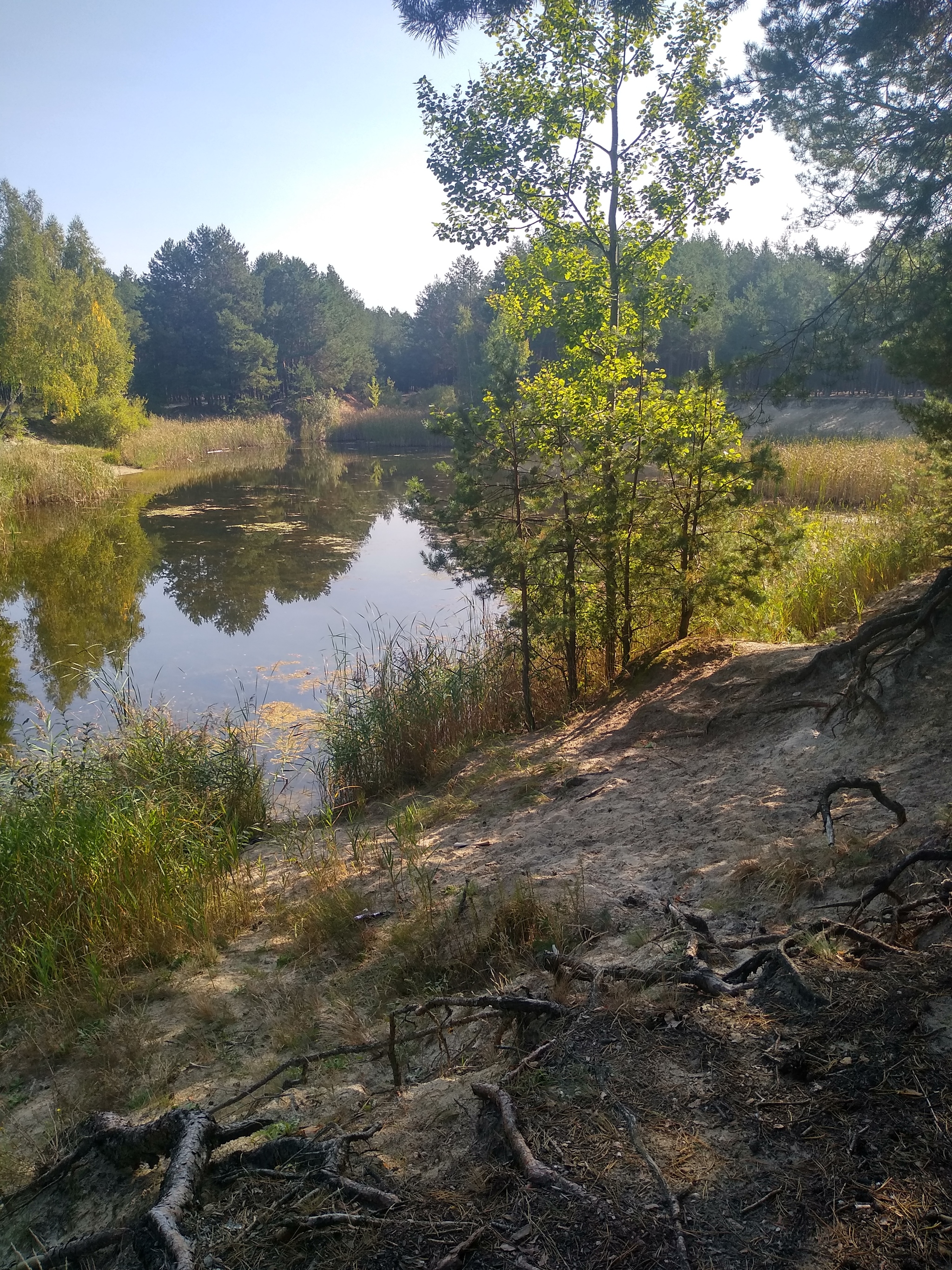 September - My, Brest, Longpost, Autumn, beauty of nature, Nature