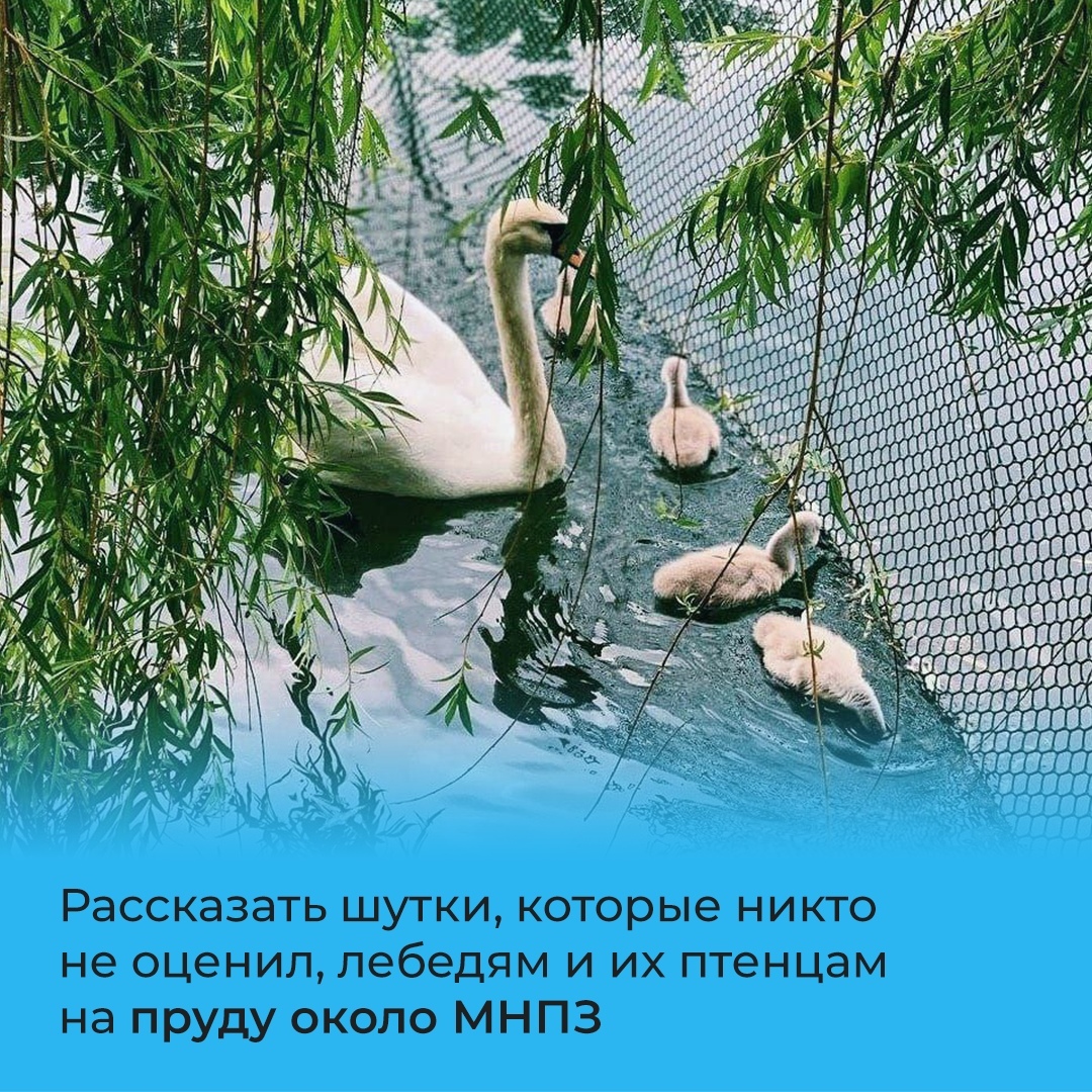 Что есть в Капотне помимо завода? - Моё, Москва, Капотня, Королева Капотни, Туризм, Чем заняться?, Длиннопост