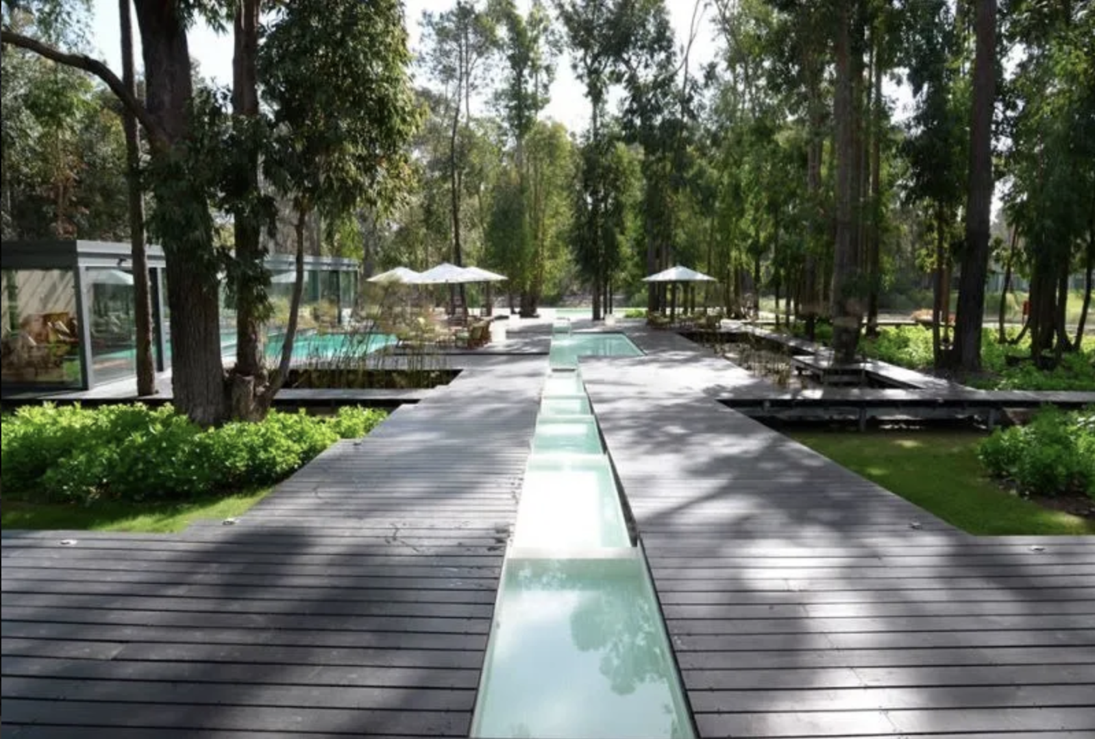Notes from Uruguay // Laguna Solanas - My, Modern architecture, Uruguay, House in the woods, Nature, Longpost