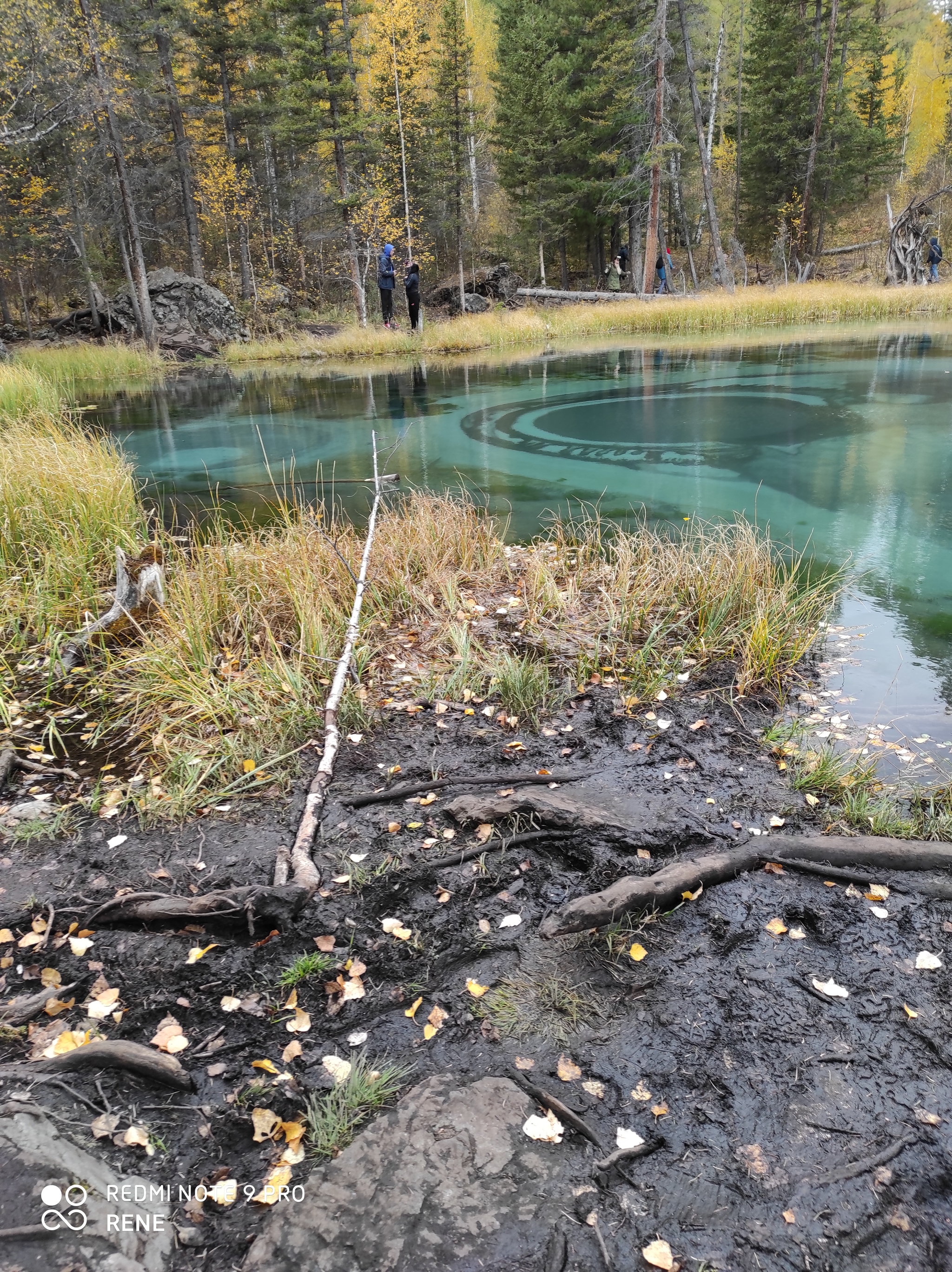 A sudden drive through instead of lakes. Aktash, geyser lake - My, Aktash, Altai Republic, Longpost, Photo on sneaker, Nature, Lake, Geyser Lake