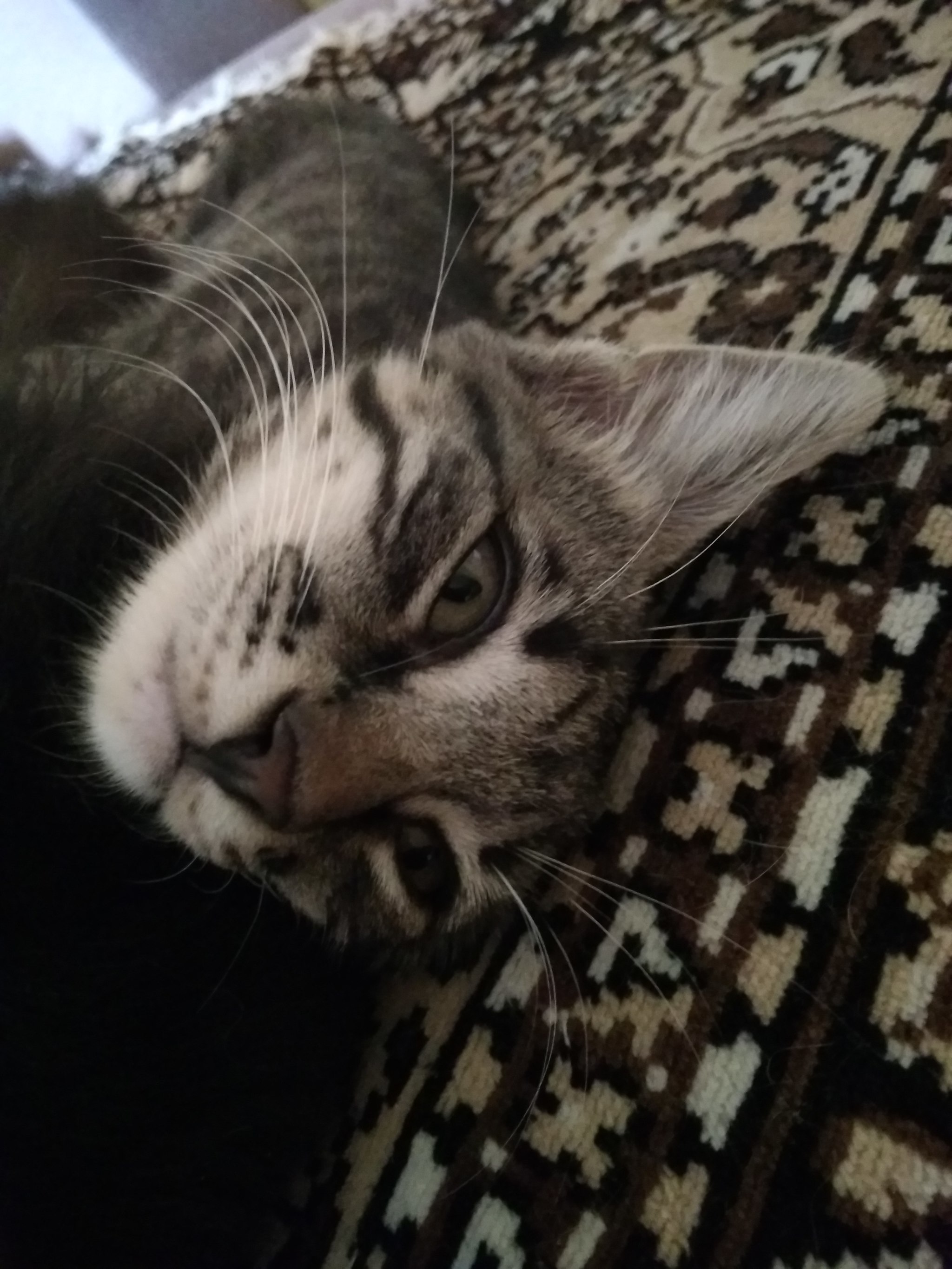 Колбася | Пикабу