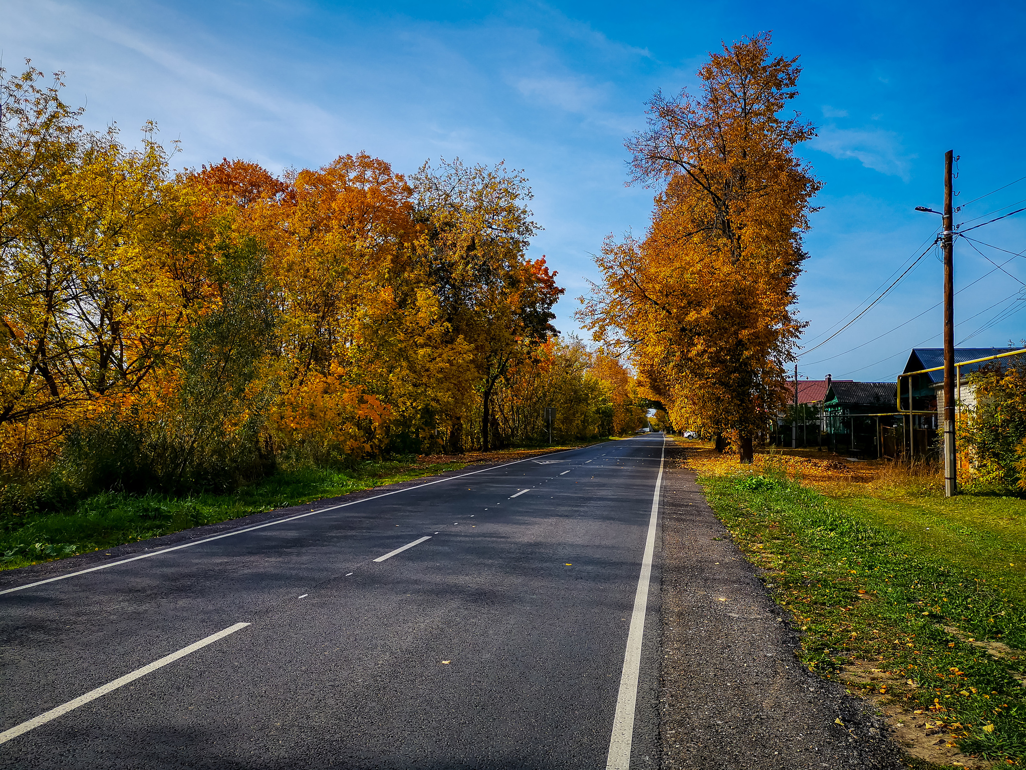 Autumn - My, The photo, Nature, Longpost