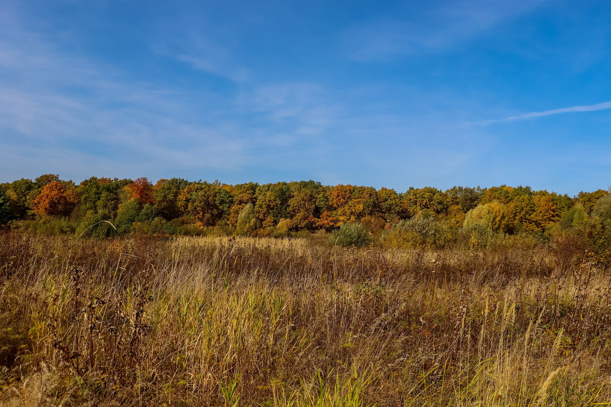 Autumn - My, The photo, Nature, Longpost