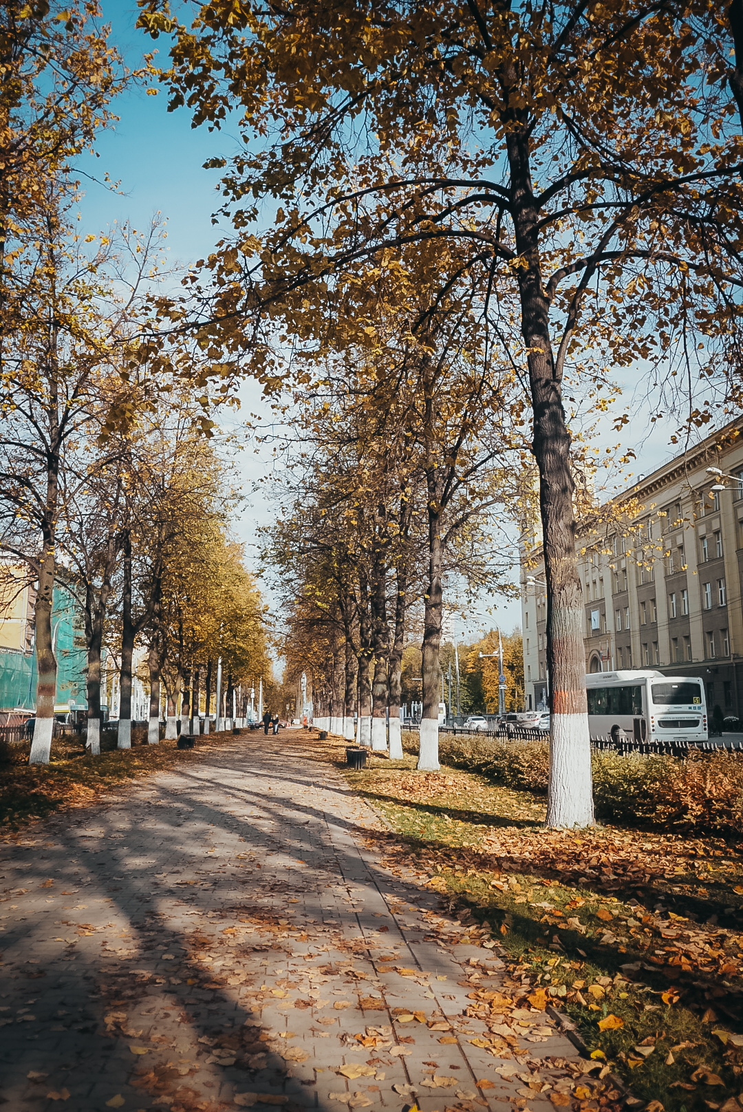 Autumn - My, Autumn, The photo, Permian, Town, Longpost, Autumn leaves