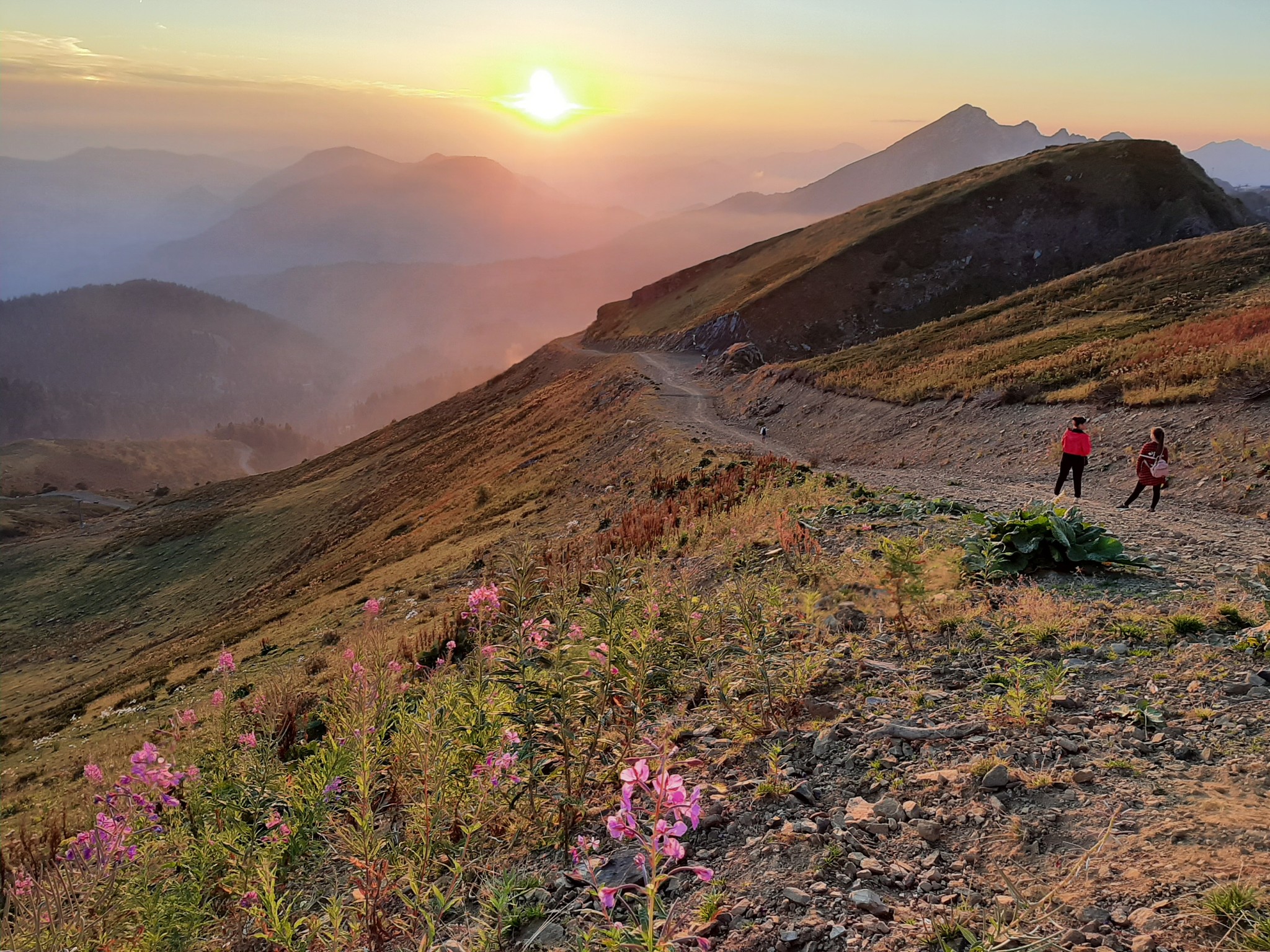 Our hike to the Kamenny Pillar peak - My, Stone Pillar, Rose of Spades, Longpost, Krasnaya Polyana