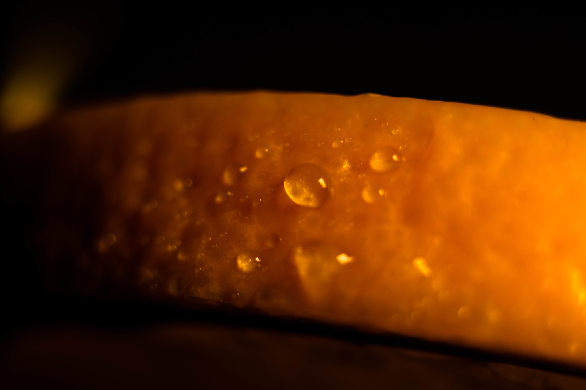 I took a macro photo of the orange and lemon here - My, The photo, Macro photography, Longpost