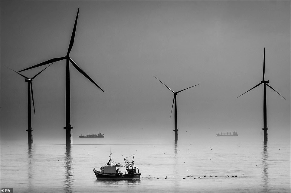 Winners of the British photography competition 'Best Marine Photography' - The photo, Ocean, Longpost