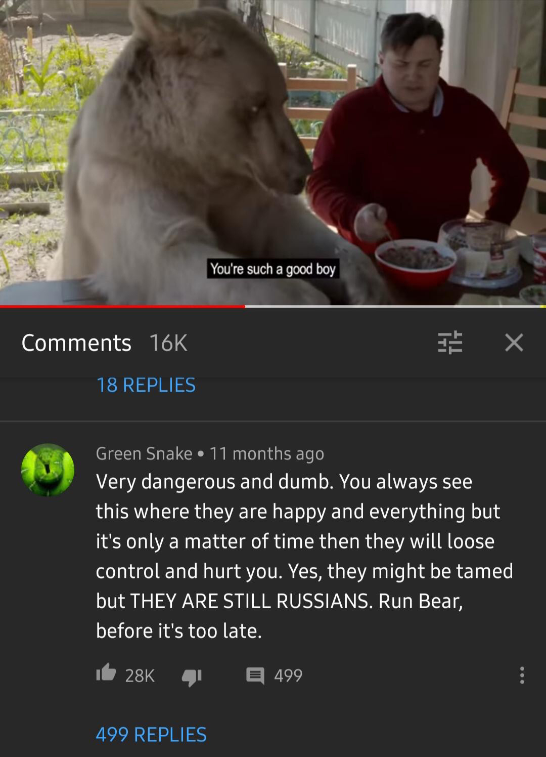 You're such a good boy - The Bears, Russians, Training, Screenshot, Comments, Danger, Translation, Medved Stepan
