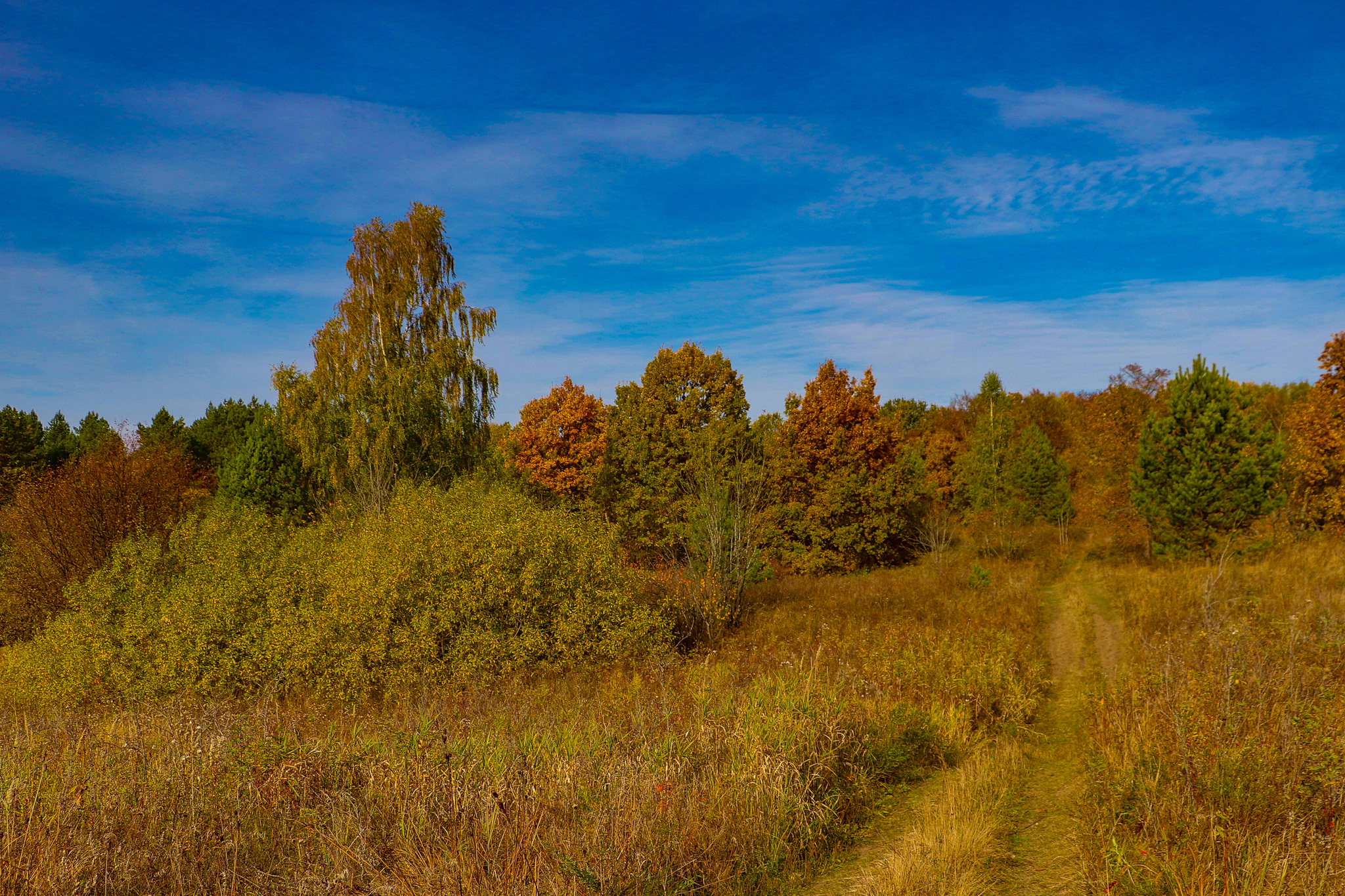 Landscape - My, The photo, Landscape, Autumn, Nature, Canon 800D, HDR, Longpost, Autumn leaves