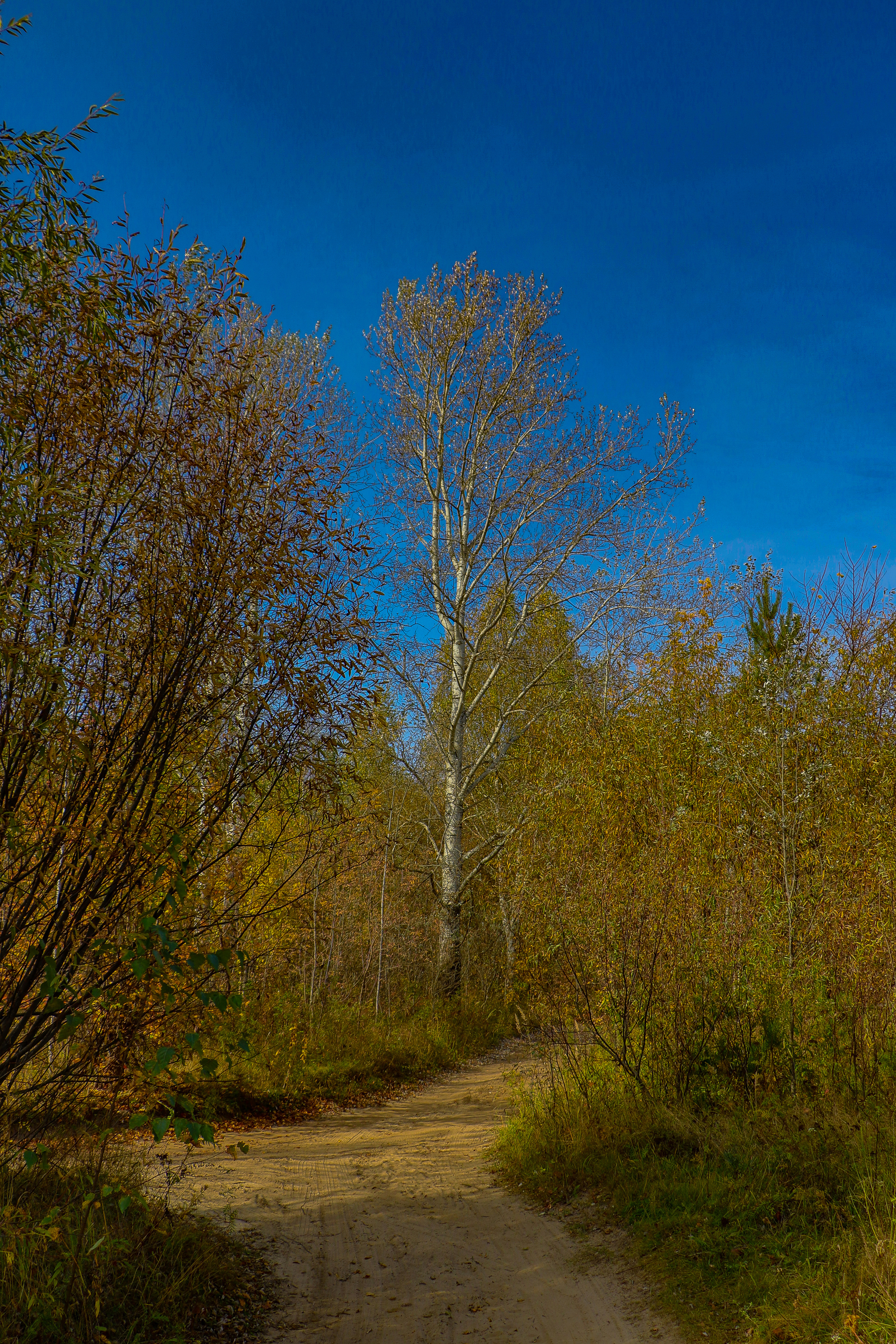 Landscape - My, The photo, Landscape, Autumn, Nature, Canon 800D, HDR, Longpost, Autumn leaves