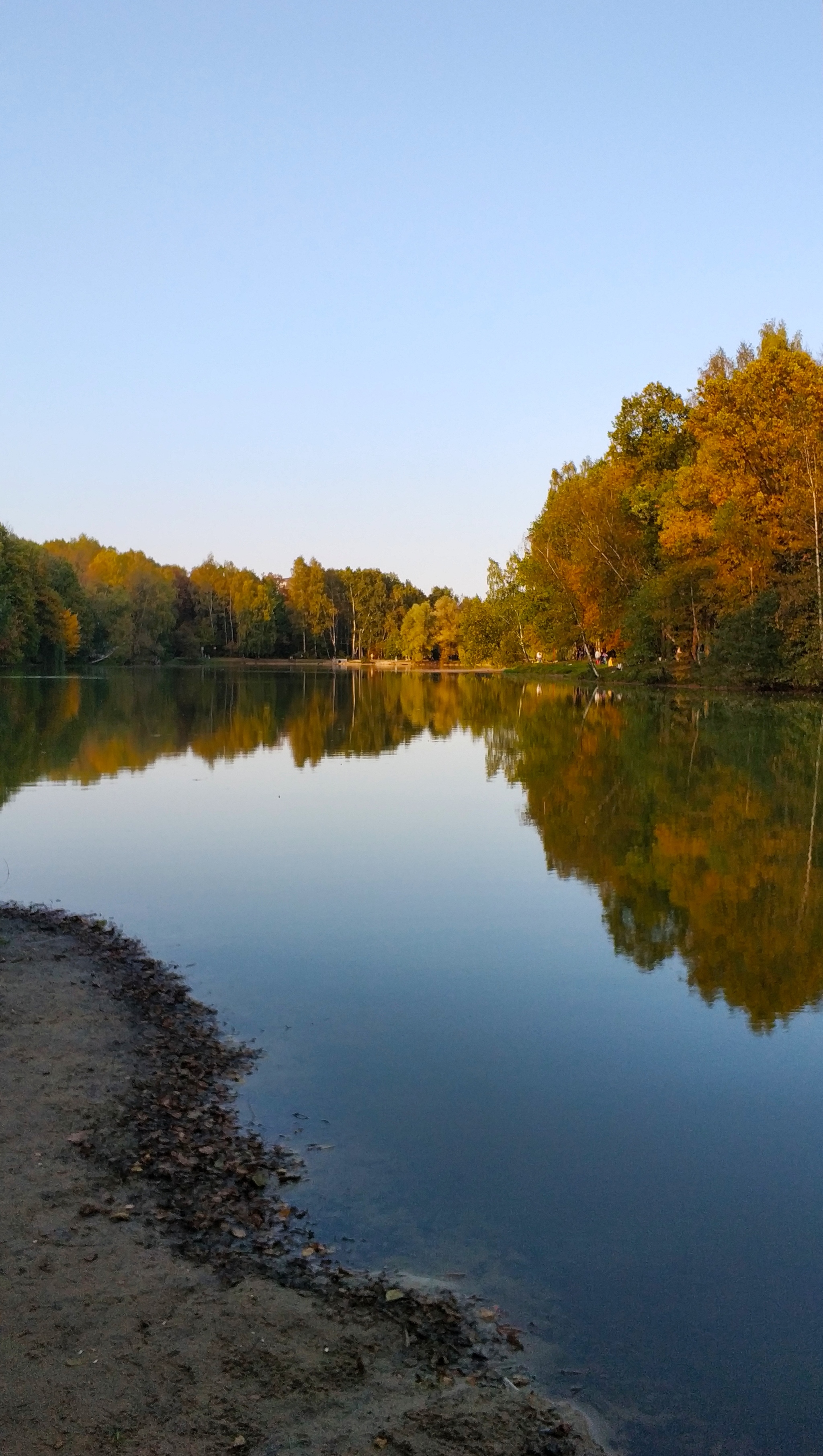 Izmailovsky Forest Park - Forest, Autumn, Lake, Mobile photography