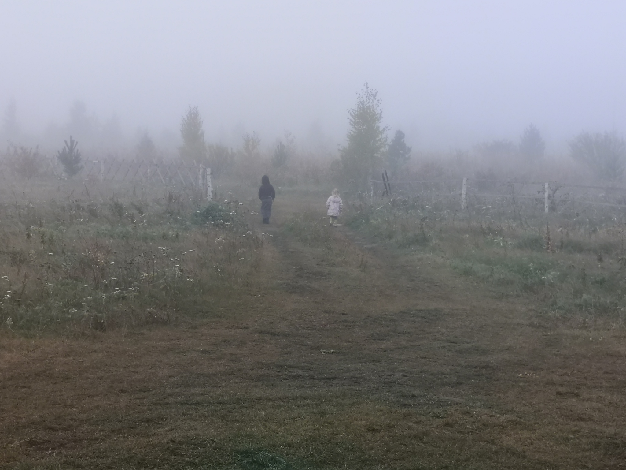 Chelyabinsk has been in fog for the second day - My, Chelyabinsk, Fog, Weather, Longpost