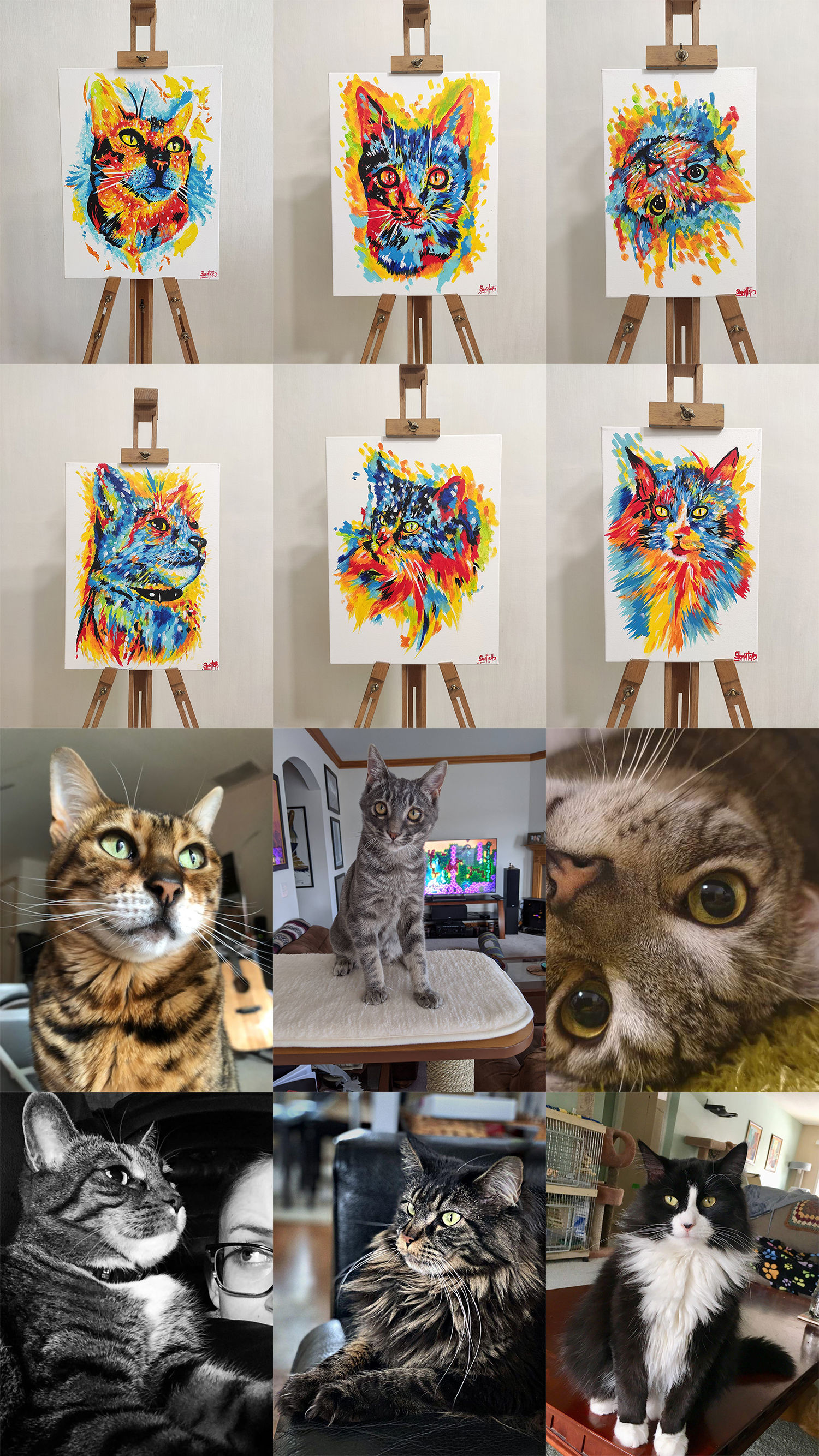 Portraits of cats (acrylic, canvas) - My, cat, Art