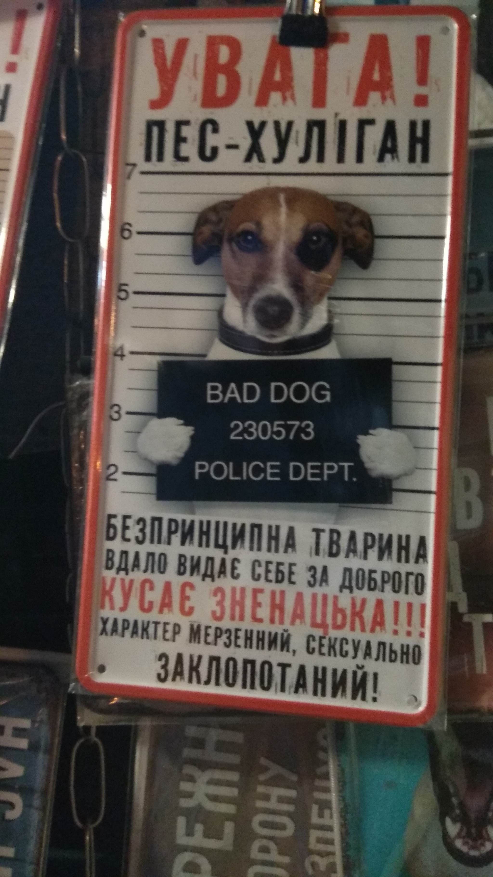 Attention! If you have seen these animals, be sure to report them! - Search, Lviv, cat, Dog, Longpost