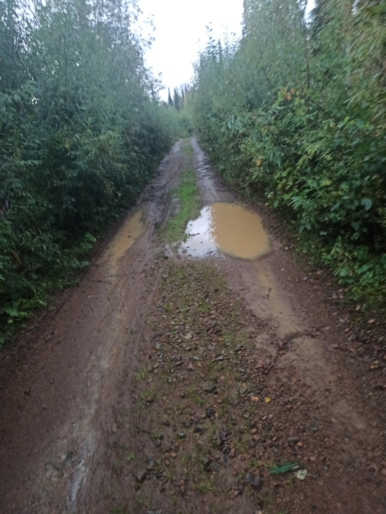 Bike ride to the Celestial Teeth - My, Bike ride, Celestial teeth, Bike trip, The mountains, Khakassia, Longpost