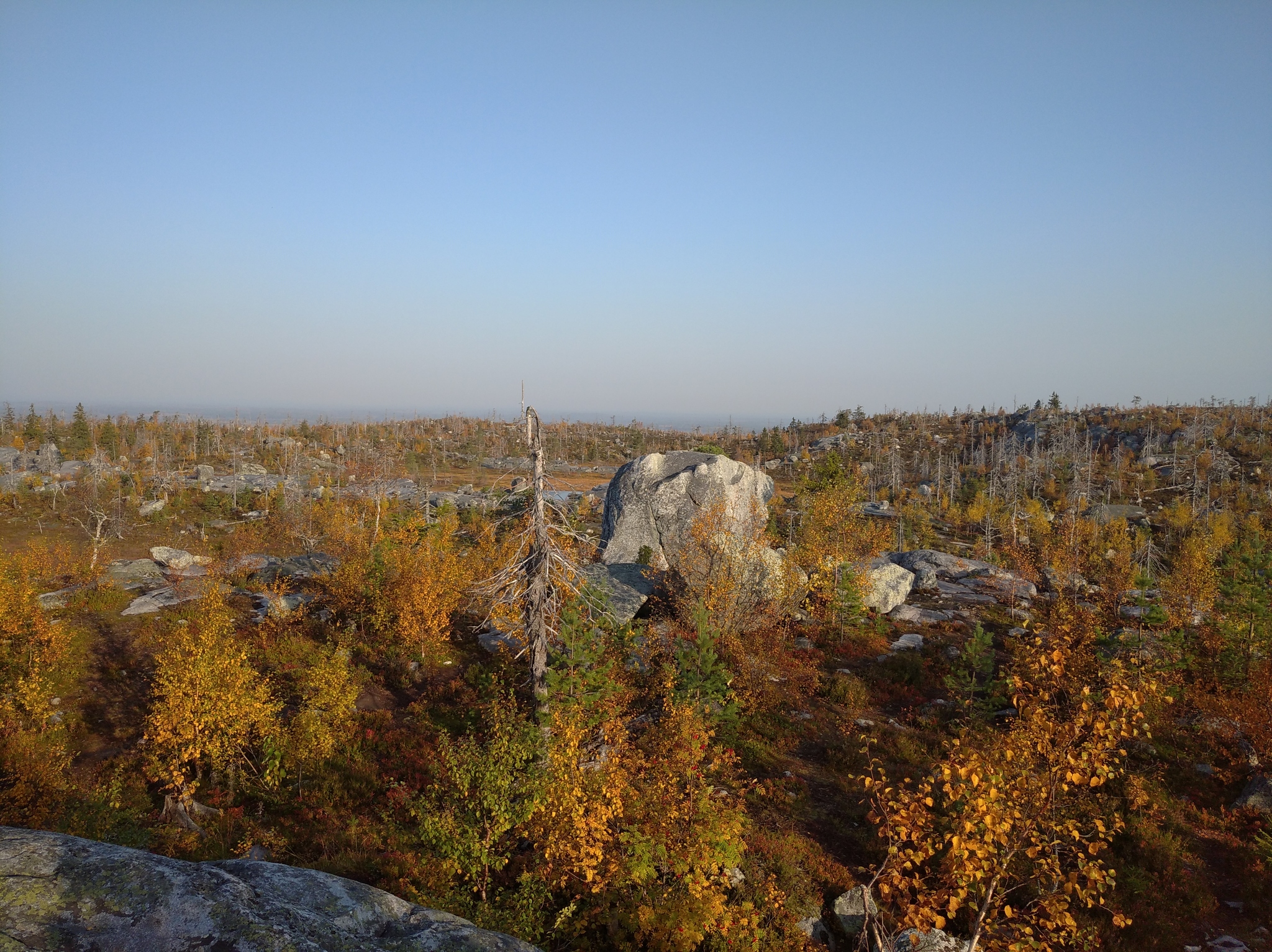 Autumn Karelia - My, Карелия, Here's the product, The rocks, Ladoga lake, The nature of Russia, Autumn, Longpost, Nature