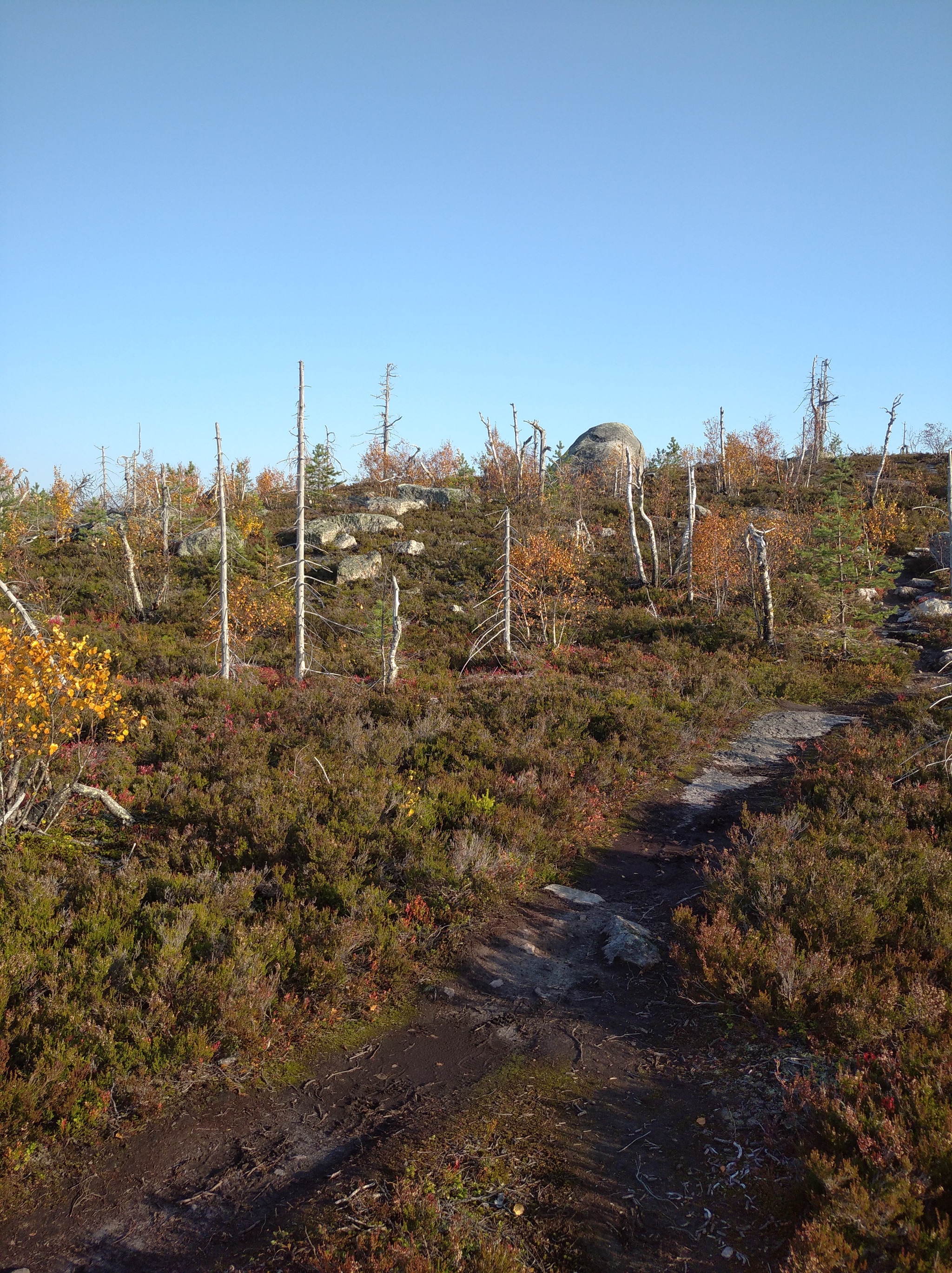 Autumn Karelia - My, Карелия, Here's the product, The rocks, Ladoga lake, The nature of Russia, Autumn, Longpost, Nature