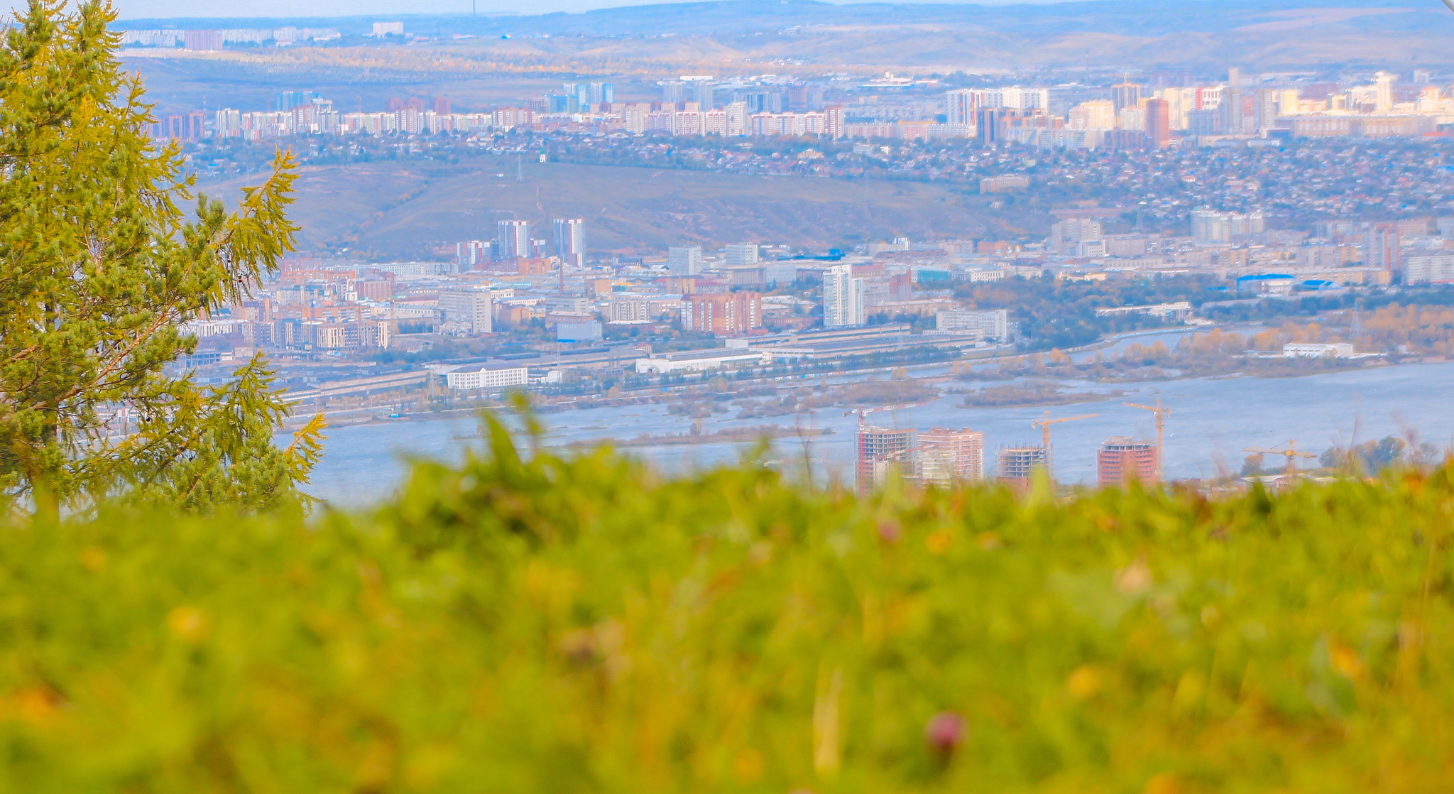 Autumn in the Krasnoyarsk Pillars National Park - My, Autumn, Krasnoyarsk, Krasnoyarsk region, Nature, Chipmunk, Forest, Town, Siberia, Longpost