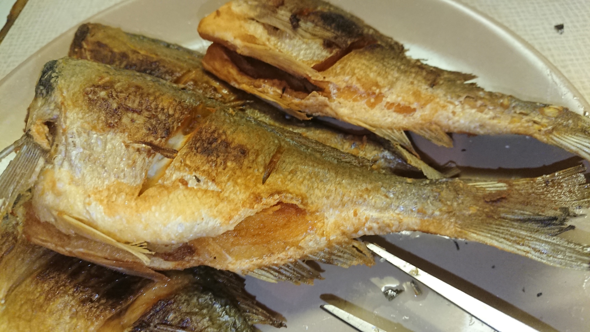 I'm frying dorado for the first time - My, Dorada, Dinner, Longpost