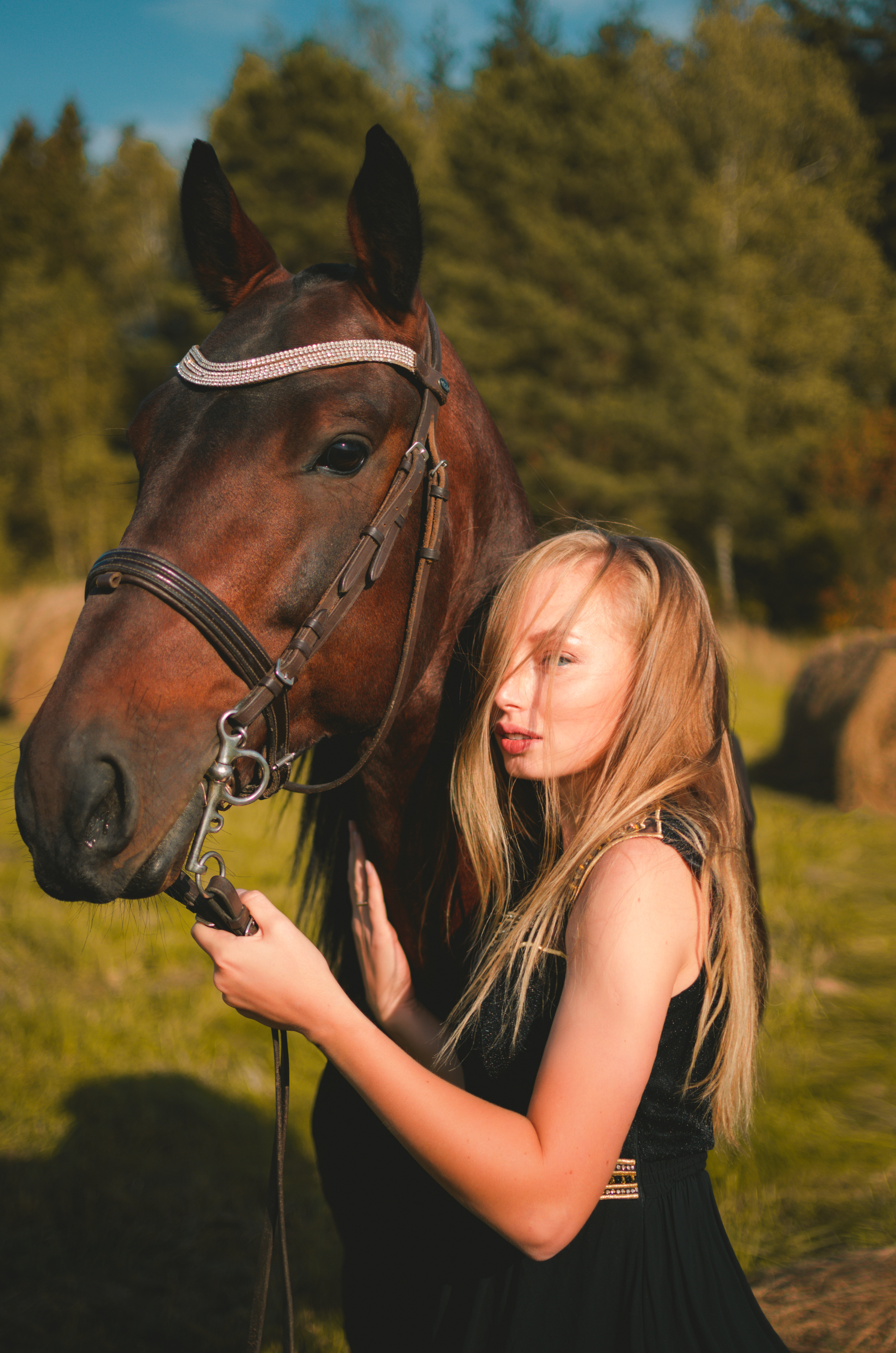 In the field with a horse - My, PHOTOSESSION, The photo, Field, Horses, Girls, Longpost