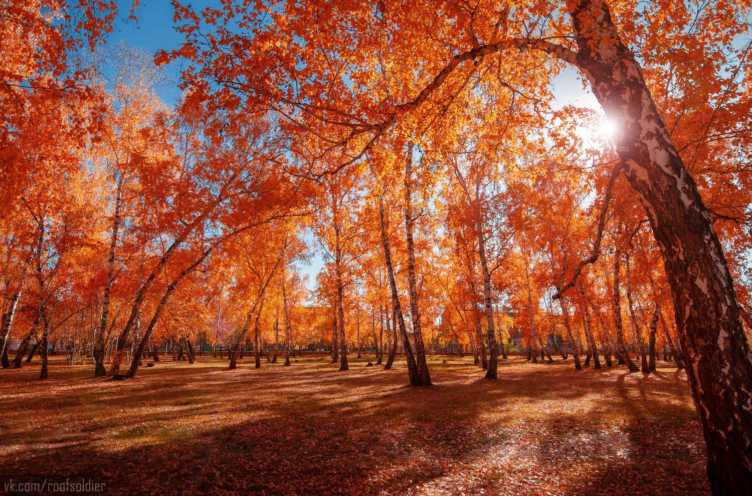 Autumn in Omsk, part 2 - My, Omsk, Autumn, The photo, Photographer, Alexey Golubev, Street photography, Landscape, Fuck aesthetics, Color, Russia, Longpost