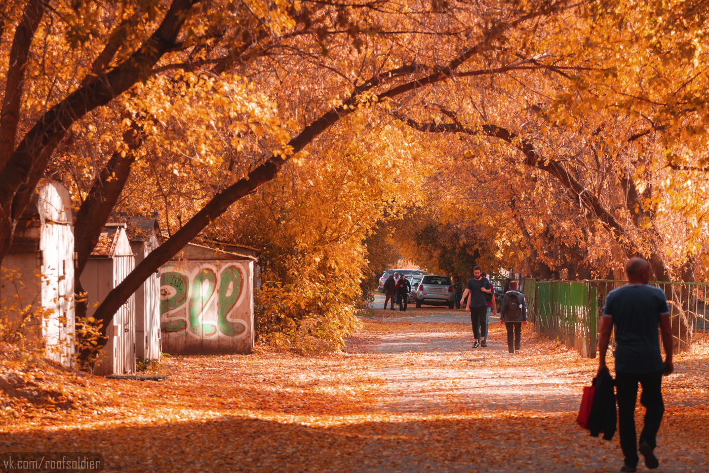 Autumn in Omsk, part 2 - My, Omsk, Autumn, The photo, Photographer, Alexey Golubev, Street photography, Landscape, Fuck aesthetics, Color, Russia, Longpost