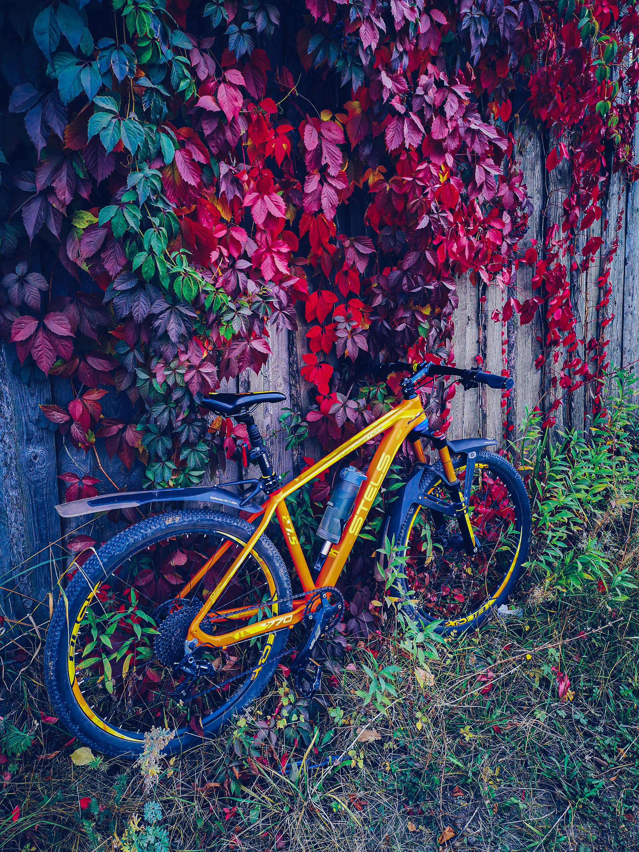 Cycling - My, The photo, A bike, Nature, Longpost