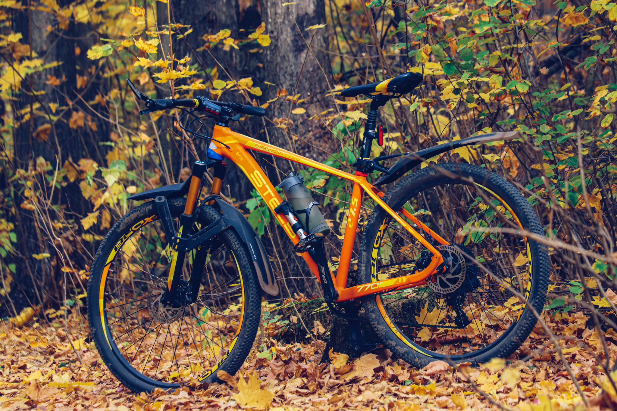 Cycling - My, The photo, A bike, Nature, Longpost