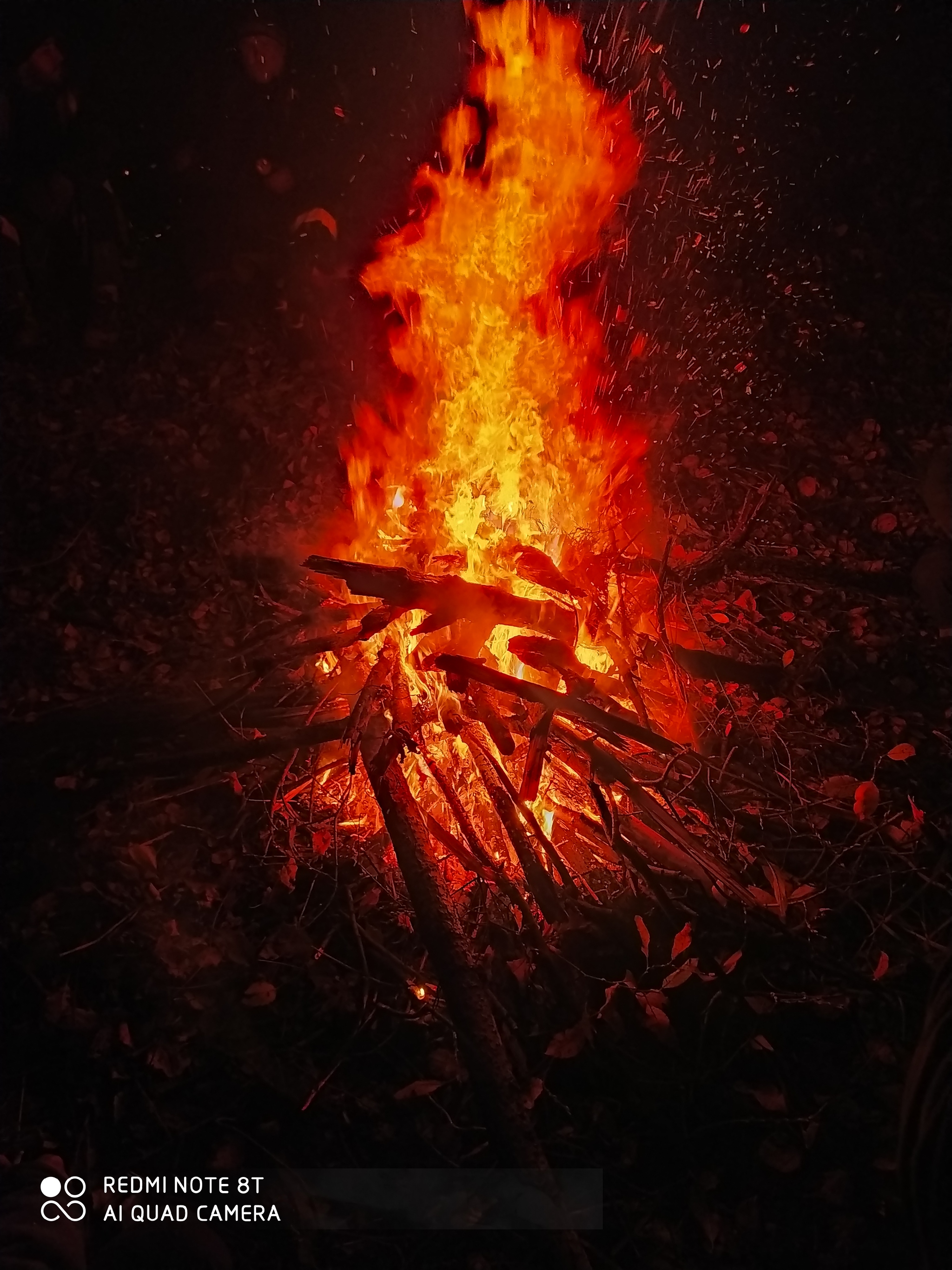 Just a fire - My, Nature, The photo, Without processing