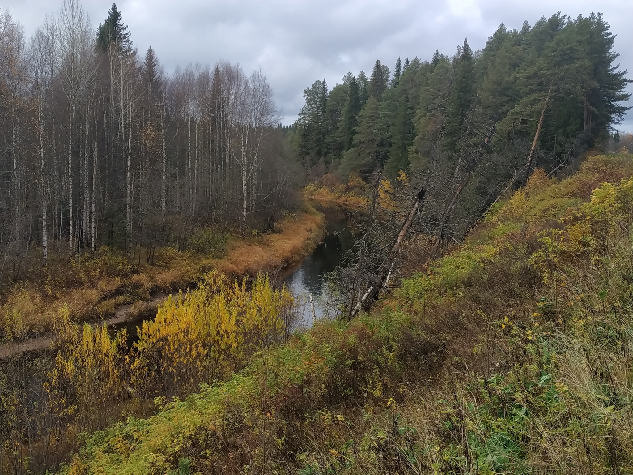 A couple of pictures from the Arkhangelsk-Yaroslavl highway - My, The photo, Forest, River, Road, Longpost