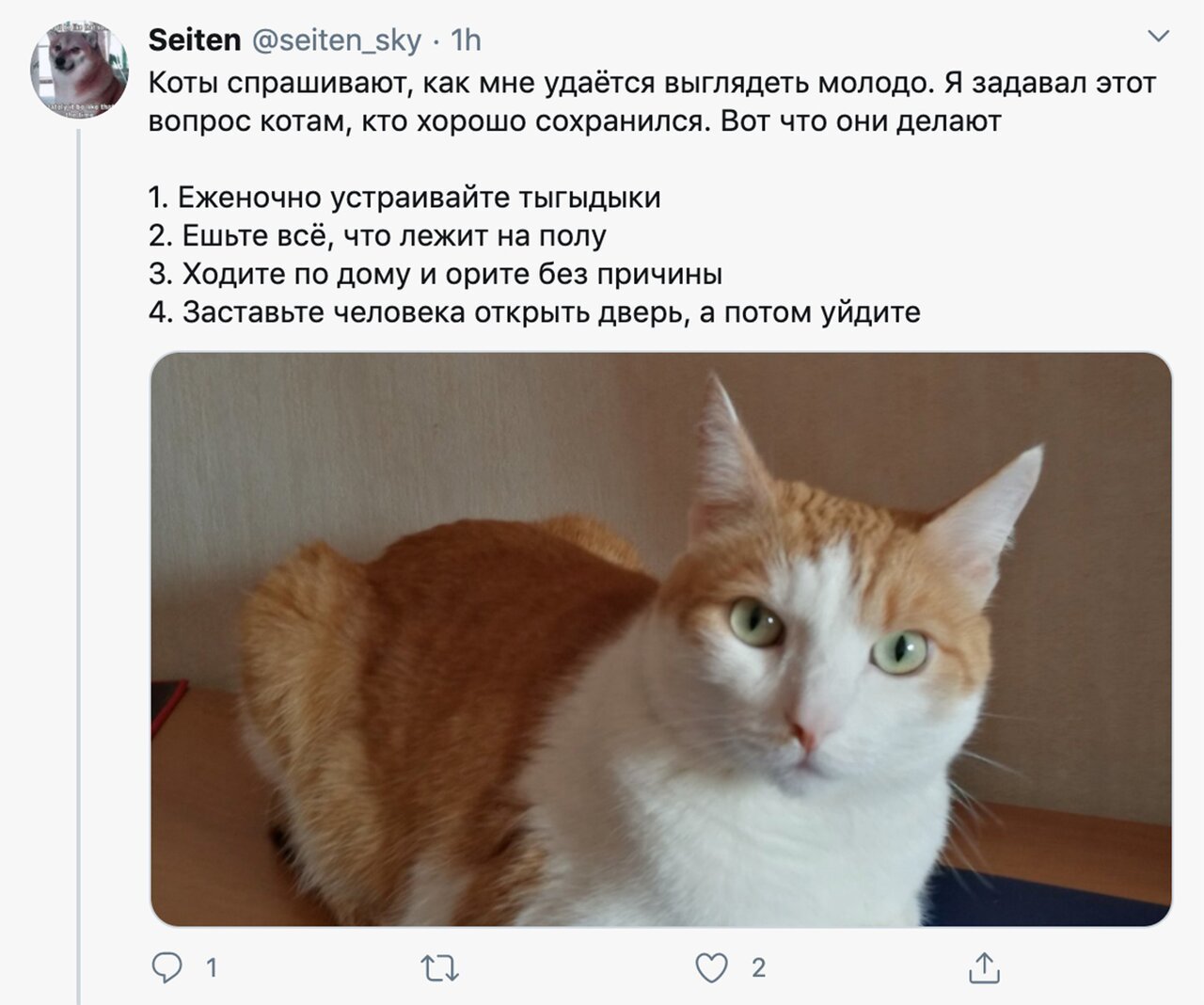 Павел Дуров поделился секретом молодости - Павел Дуров, Telegram, Молодость, Секрет, Twitter, Длиннопост