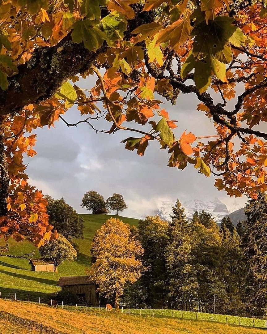 Осенняя Европа Фото