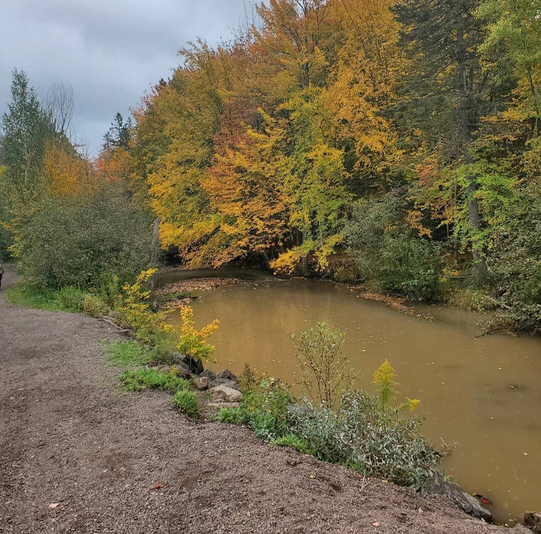 Autumn in Moncton, Canada - The photo, Canada, Nature, Autumn, beauty of nature, Longpost, Autumn leaves