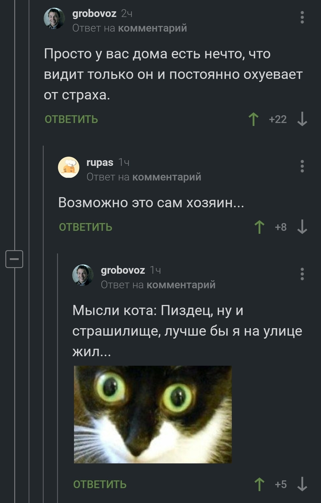 Fear of a cat - cat, Fear, Screenshot, Comments on Peekaboo, Longpost