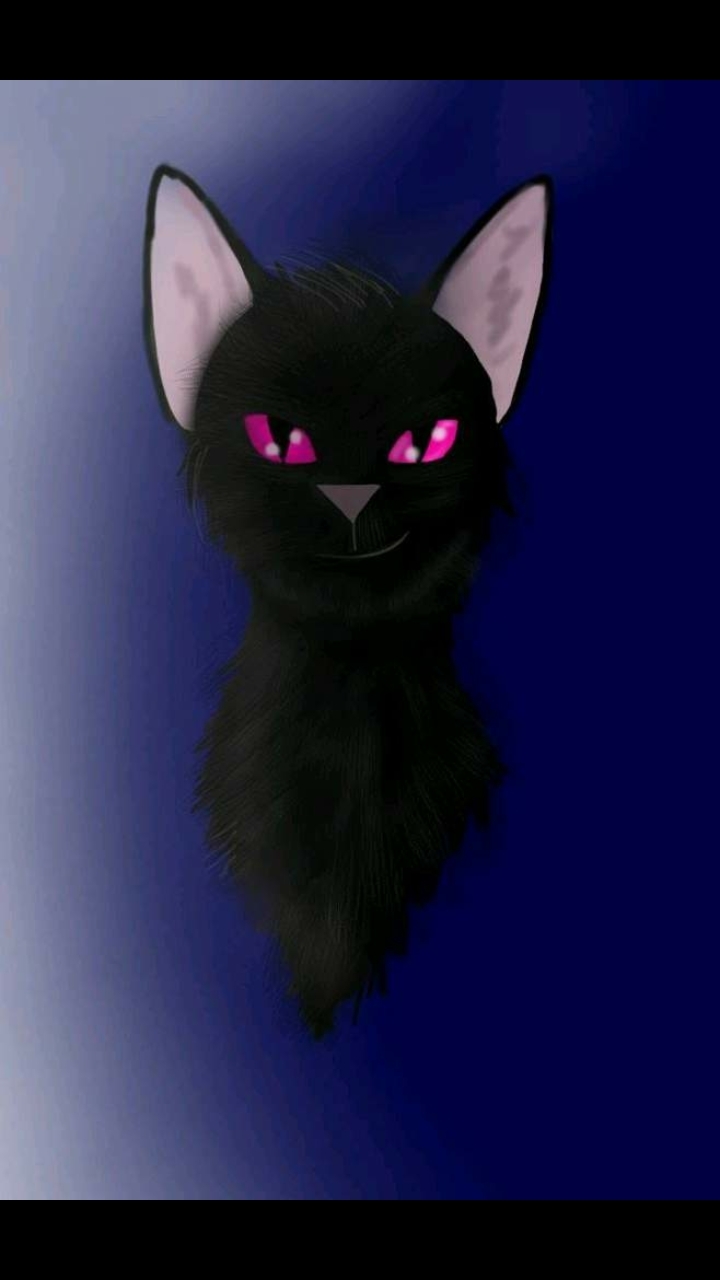 Коты-Воители. Новая Эра | Пикабу