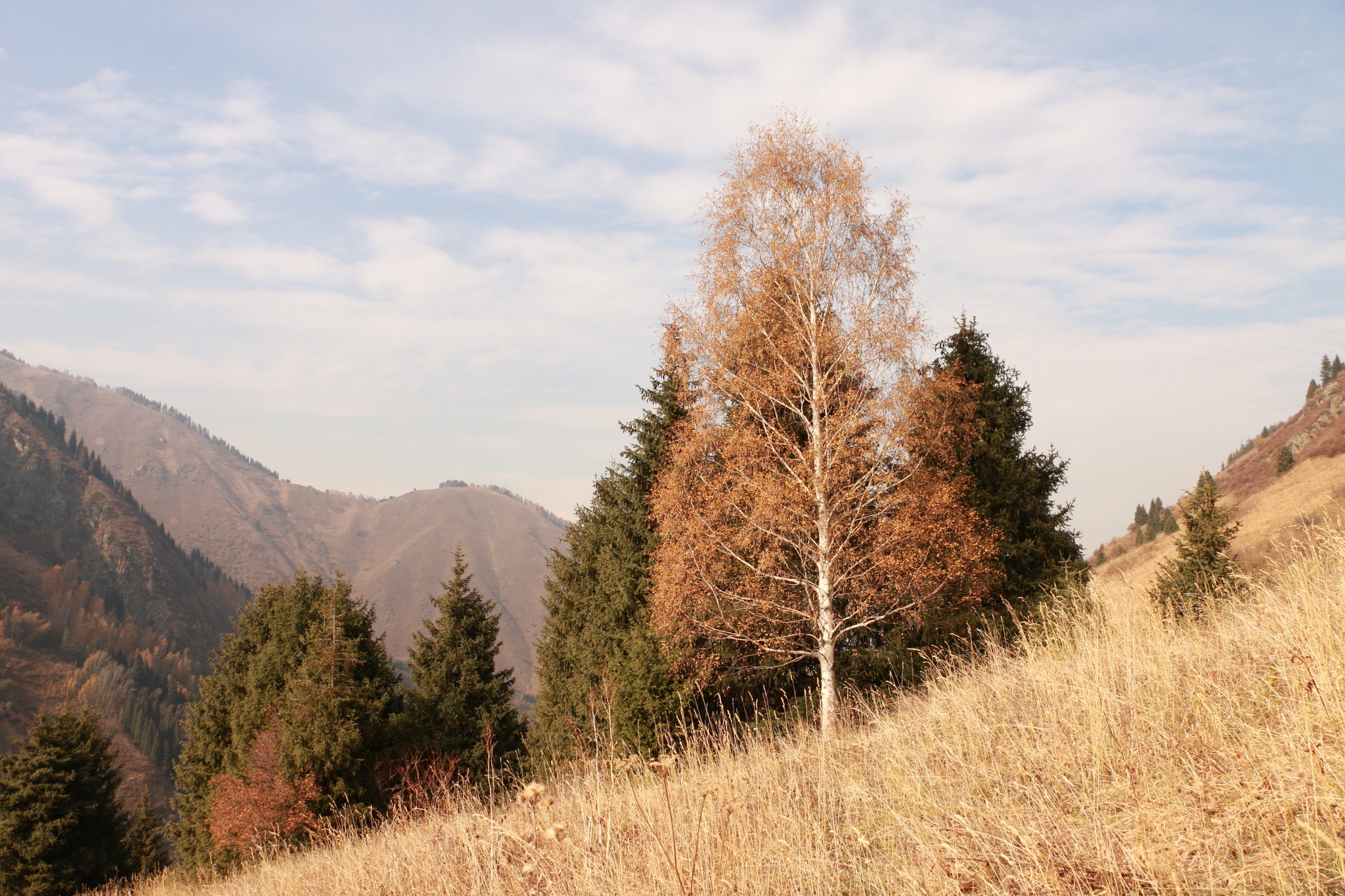 Autumn in the mountains - My, The photo, Autumn, The mountains, Almaty, Longpost