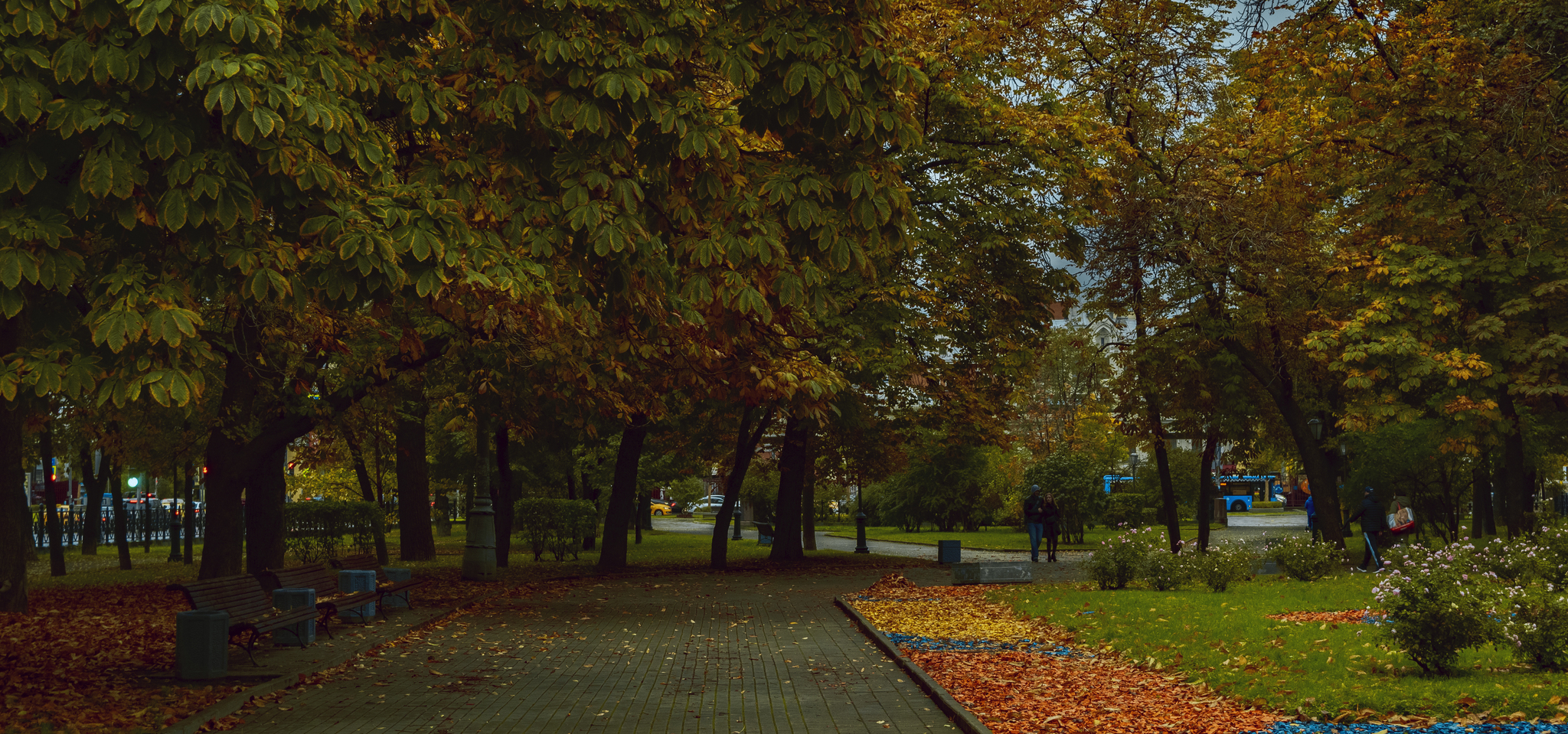 It was autumn in the yard - My, The photo, Autumn, Moscow