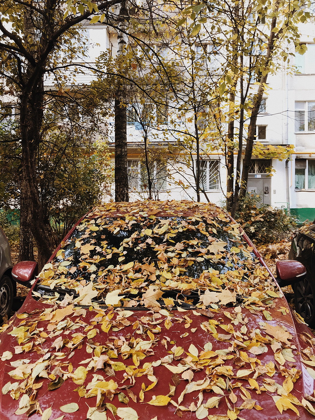 Осень на Кавказском бульваре в Москве | Пикабу