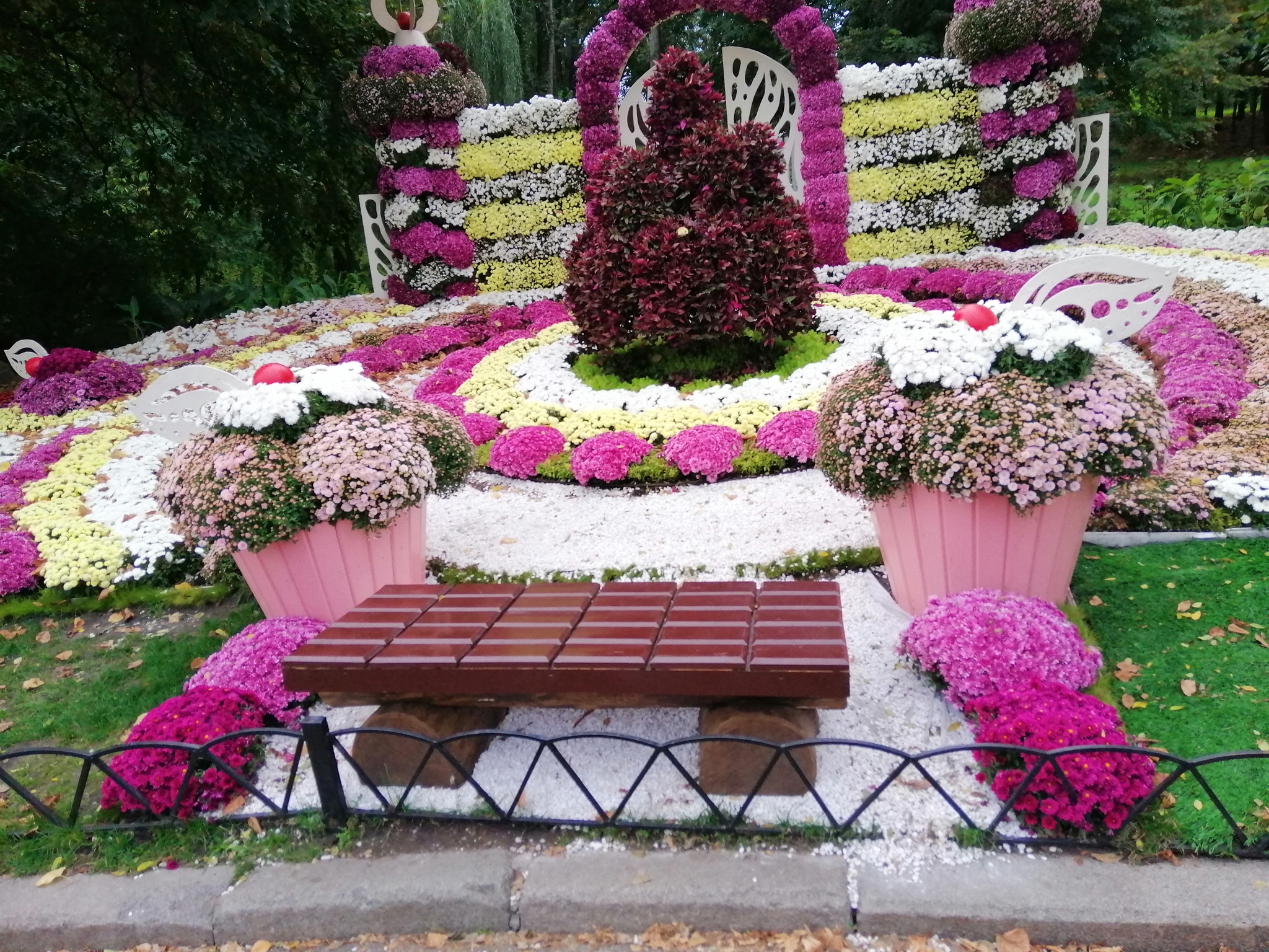 Chrysanthemum exhibition - My, Kiev, Flowers, Chrysanthemums, Autumn, Exhibition, Longpost