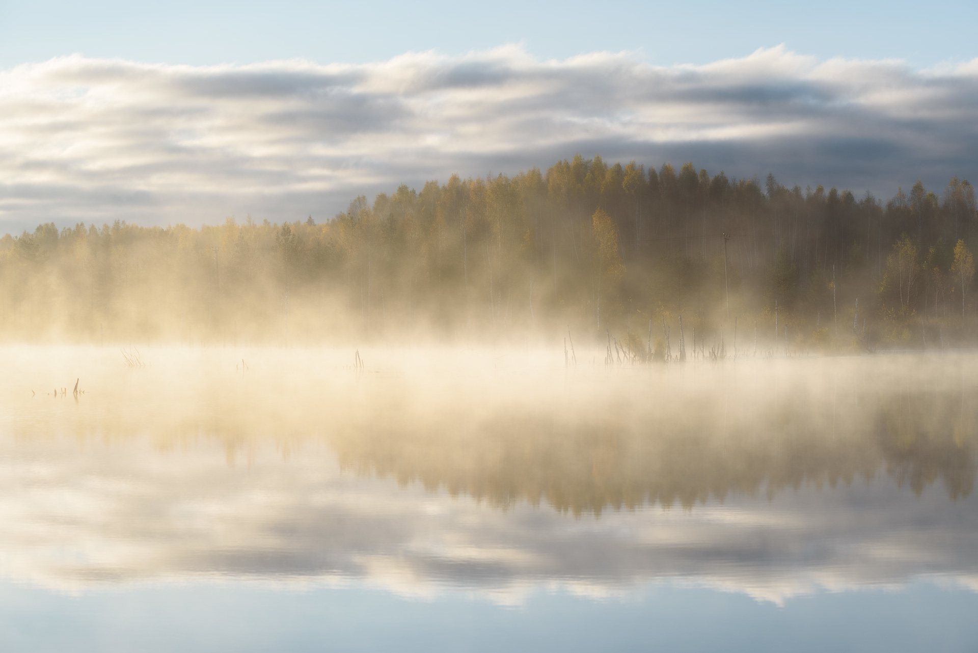 Dawn on your favorite swamp - The photo, Landscape, Fog, dawn, Swamp, Nikon D750, Longpost