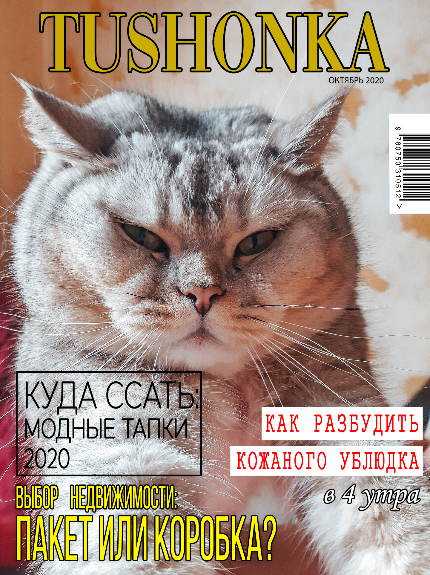 журнал кот шредингера фото