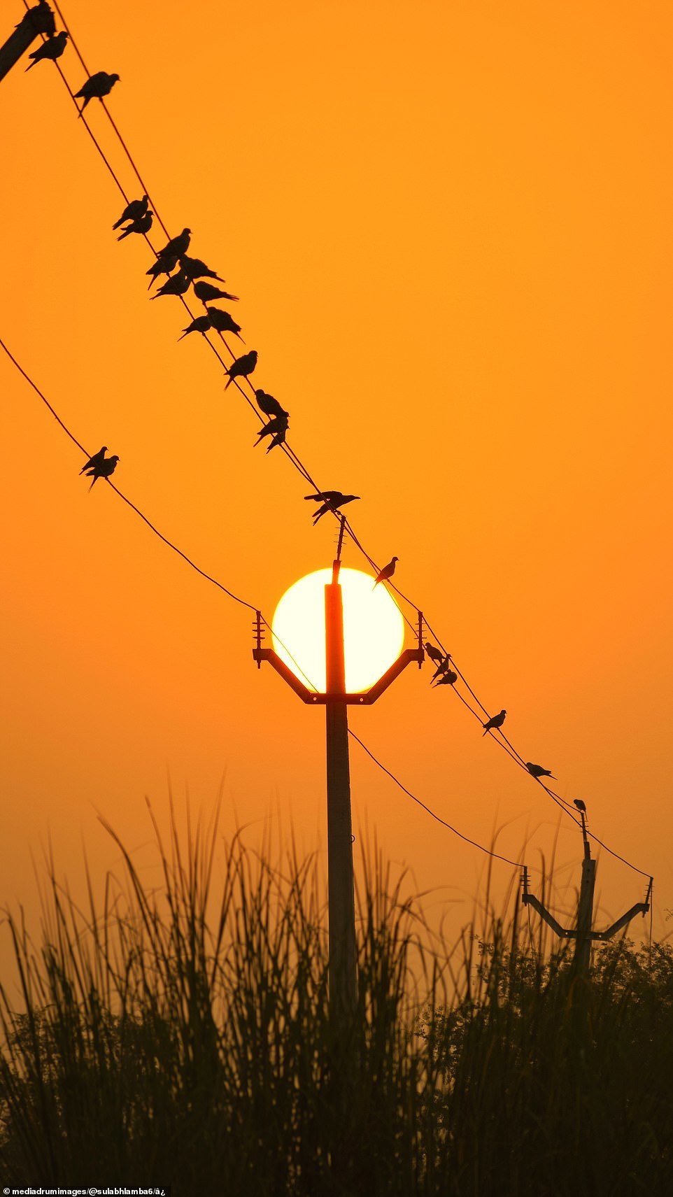 21-year-old Sulabh Lamba from Rewari, India, created a series of impressive photographs against the backdrop of a sunset. - The photo, Sunset, Longpost, The sun