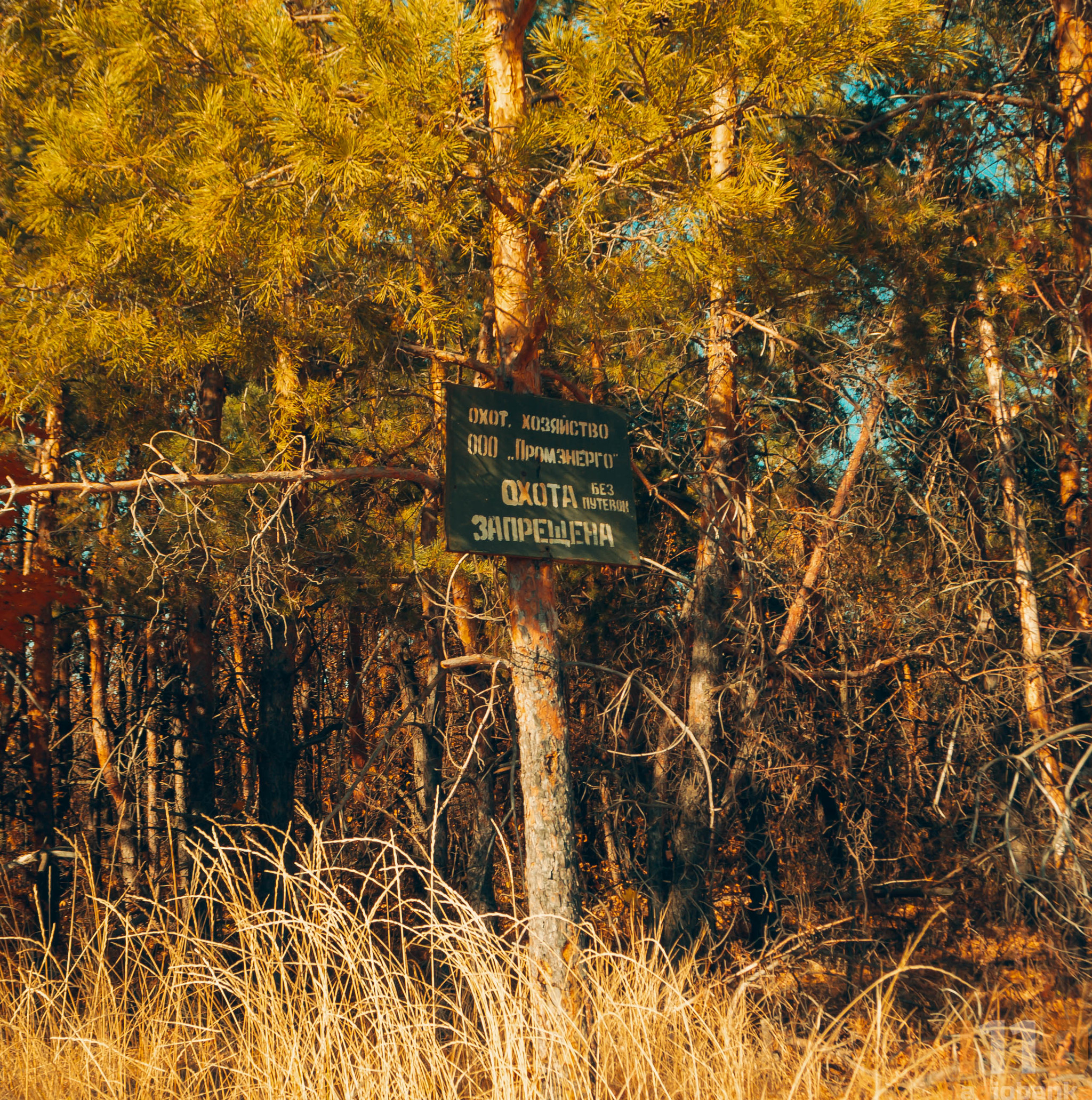 My photos from cycling Burkin Gully/Kolotov Gully 10/20/20 - My, Bike ride, The photo, Lightroom, Nikon, Nikon d3100, Longpost