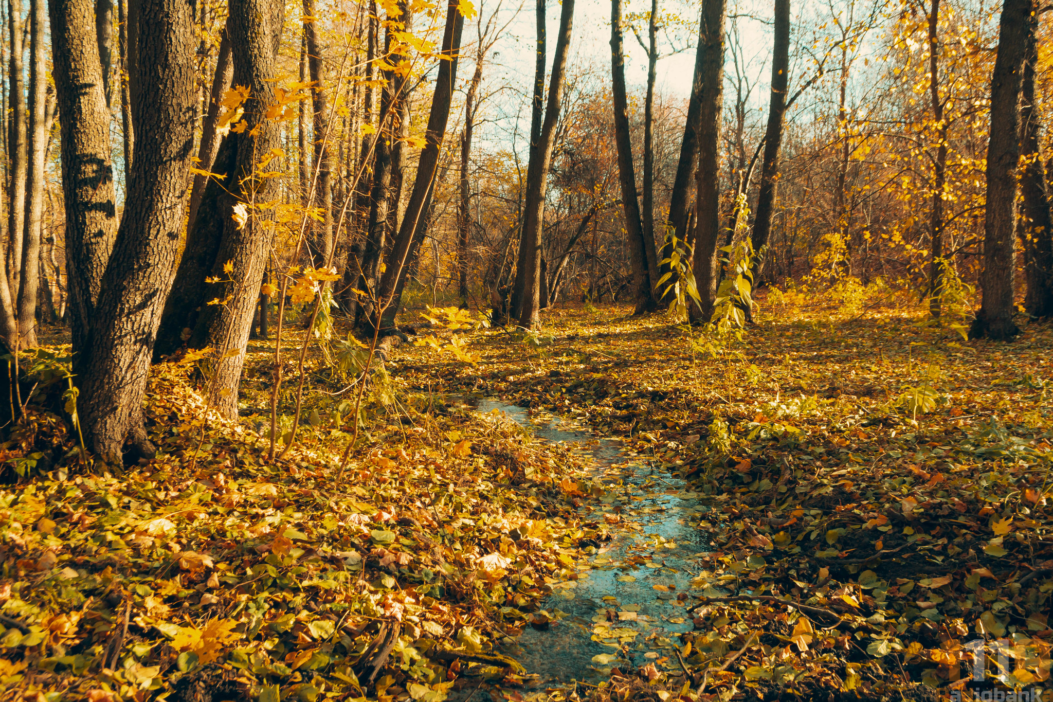 My photos from cycling Burkin Gully/Kolotov Gully 10/20/20 - My, Bike ride, The photo, Lightroom, Nikon, Nikon d3100, Longpost