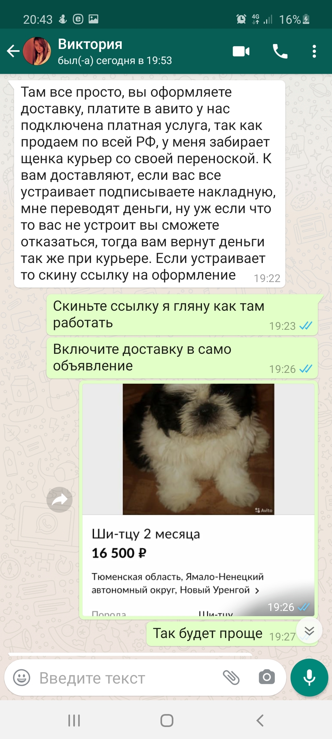 How I tried to buy a dog on Avito - My, Fraud, Internet Scammers, Avito, Announcement on avito, Dog, Longpost, Negative, Correspondence, Screenshot