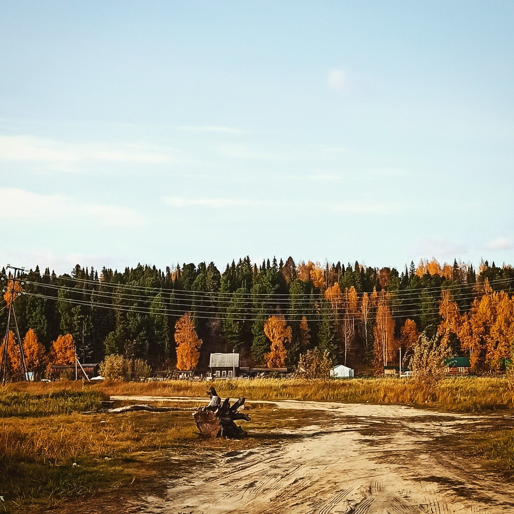 Autumn walks 4 - My, Mobile photography, Khanty-Mansiysk, Autumn, Mammoth, Longpost, The photo